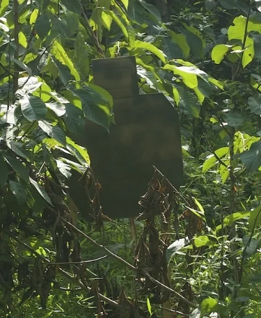 Despite close range of cardboard targets, it was very difficult for shooters to locate them in the Jungle scenario.