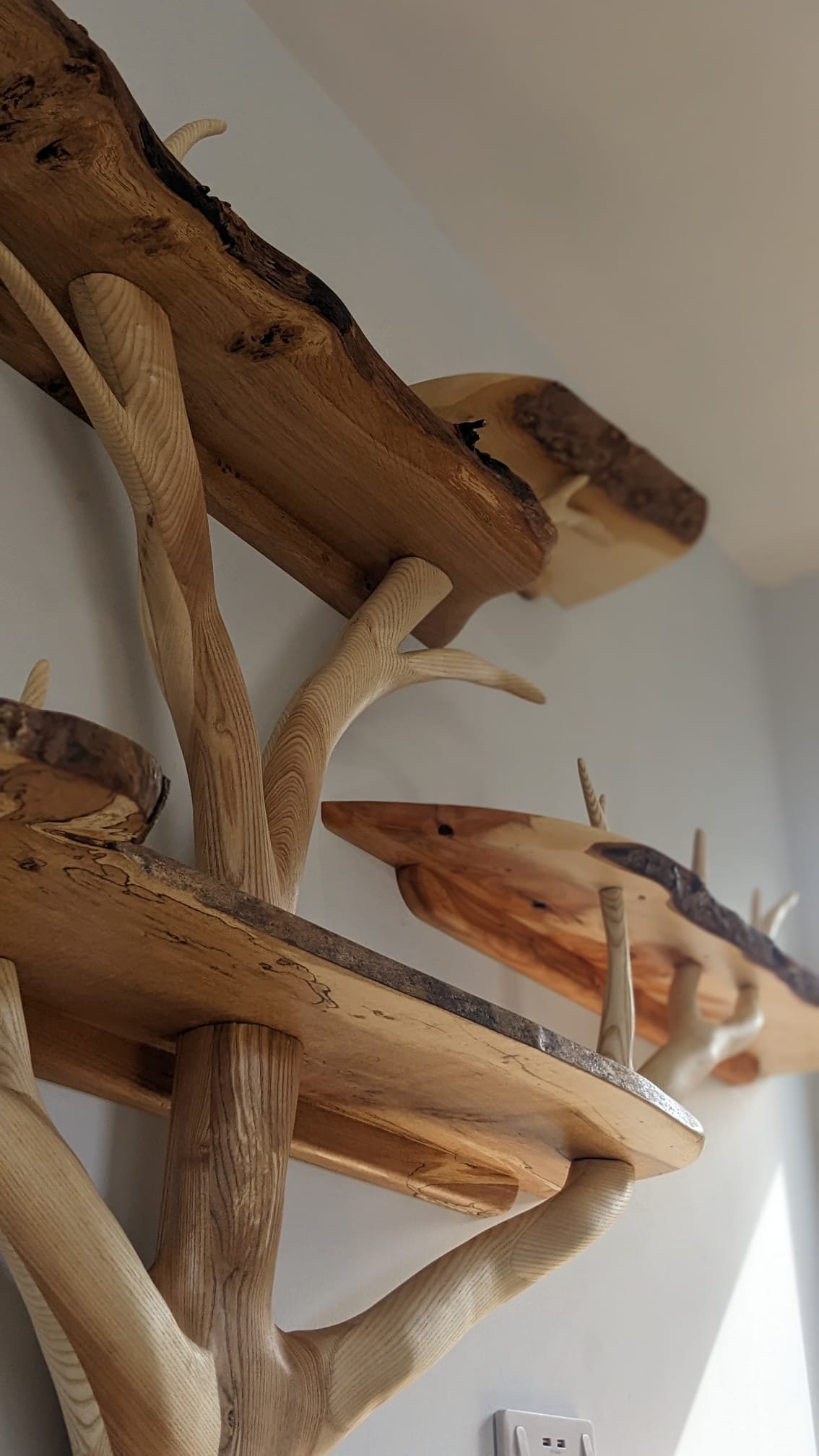 Tree shelves