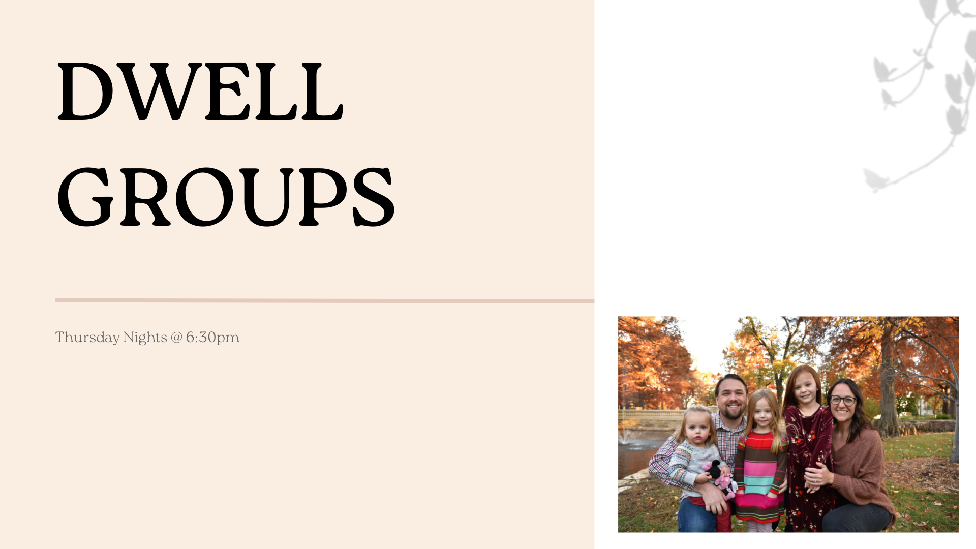The Morie's Dwell Group