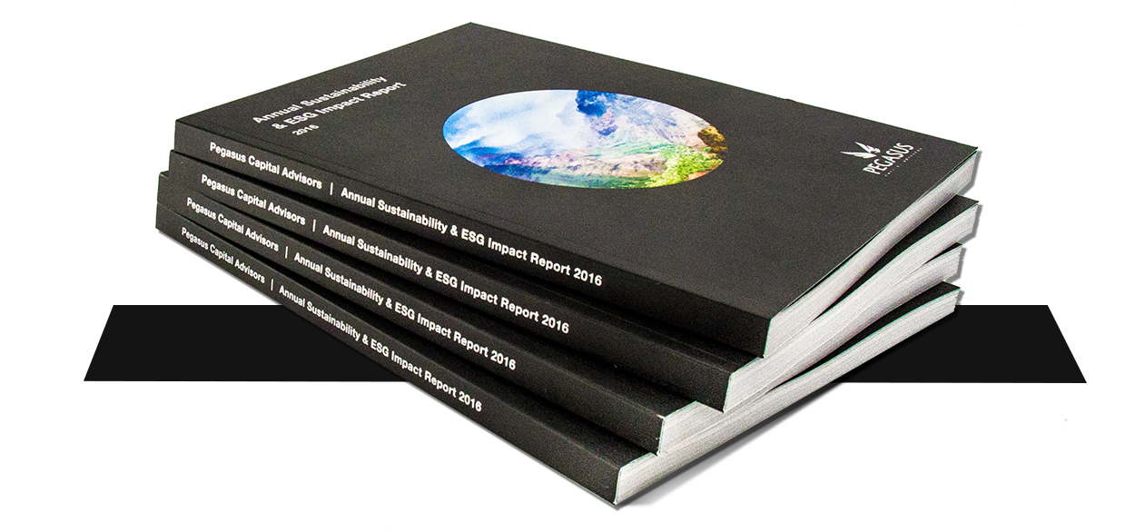 Pegasus_Book_Stacked_2_1.png