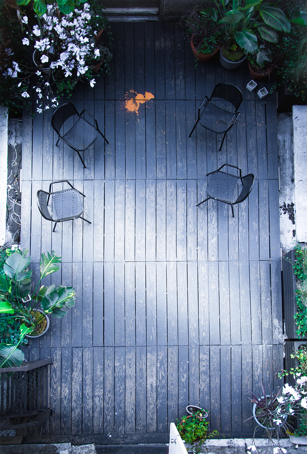 GJS_Outdoor_lo.jpg