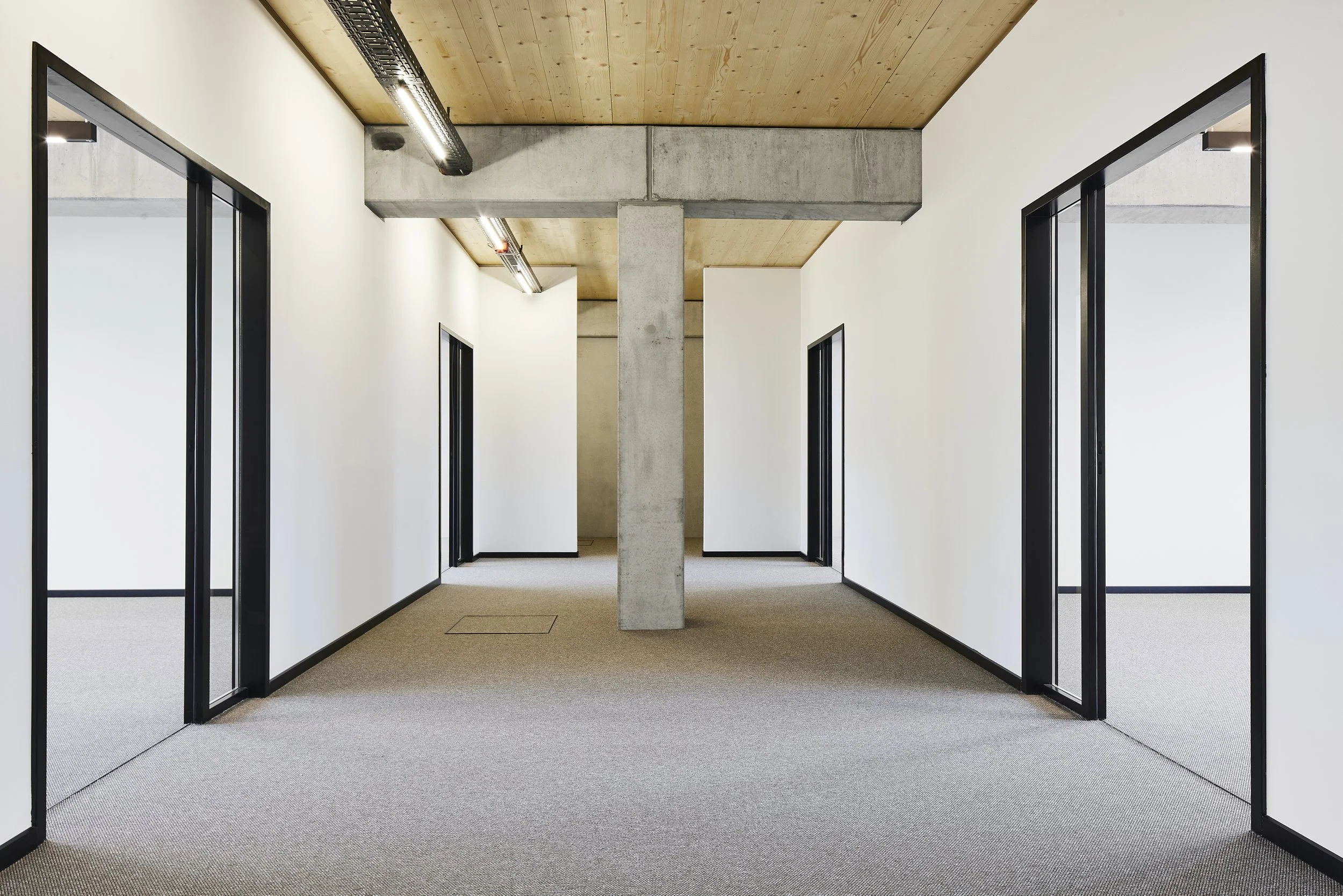 230128_AVW_Timber-Office_0164-6000px.jpg