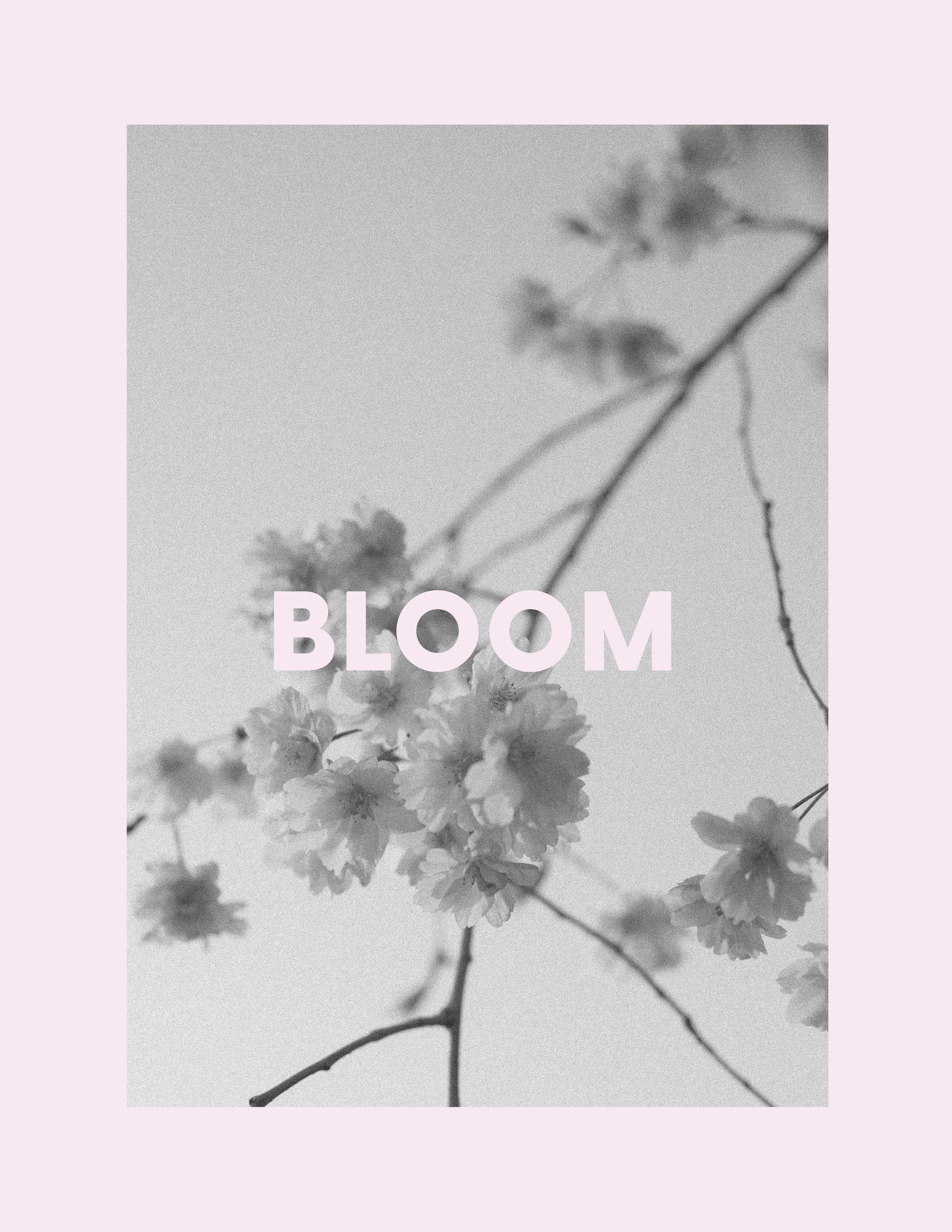 bloom.jpg