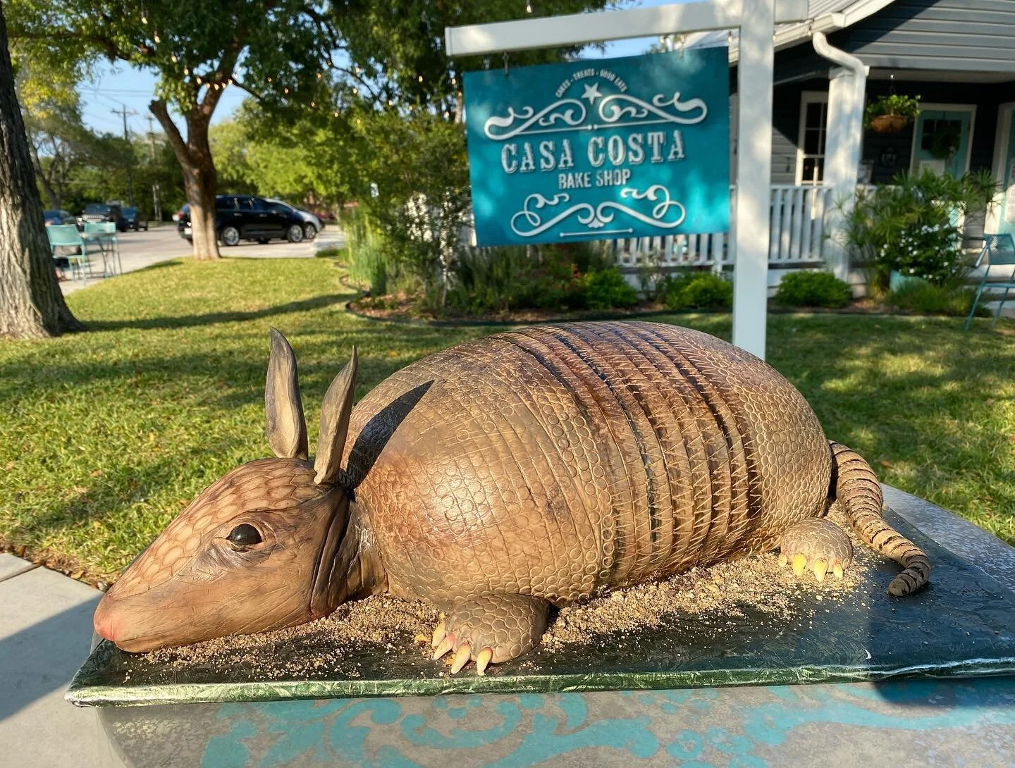 Armadillo Groom's Cake