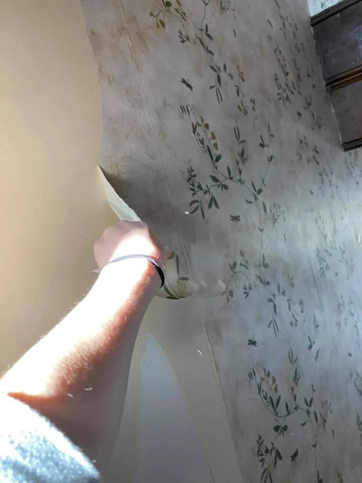 Wallpaper Installation & Removal Services in Madison, WI, and Dubuque