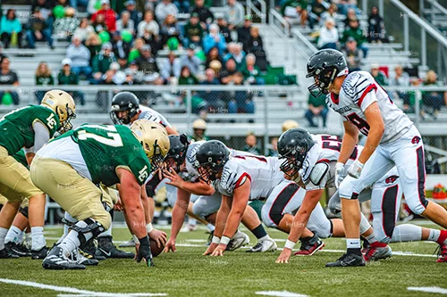 MHSFB19 Lumen Christi Gameday-16_500pxwm.jpg