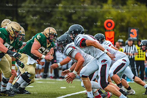 MHSFB19 Lumen Christi Gameday-23_500pxwm.jpg