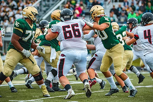 MHSFB19 Lumen Christi Gameday-25_500pxwm.jpg