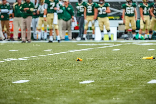 MHSFB19 Lumen Christi Gameday-29_500pxwm.jpg
