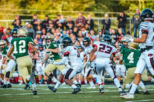 MHSFB19 Lumen Christi Gameday-45_500pxwm.jpg