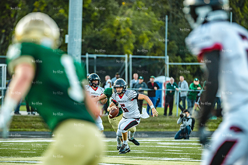 MHSFB19 Lumen Christi Gameday-50_500pxwm.jpg