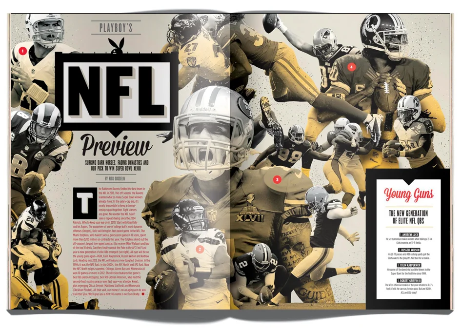 NFLpreview2013.jpg
