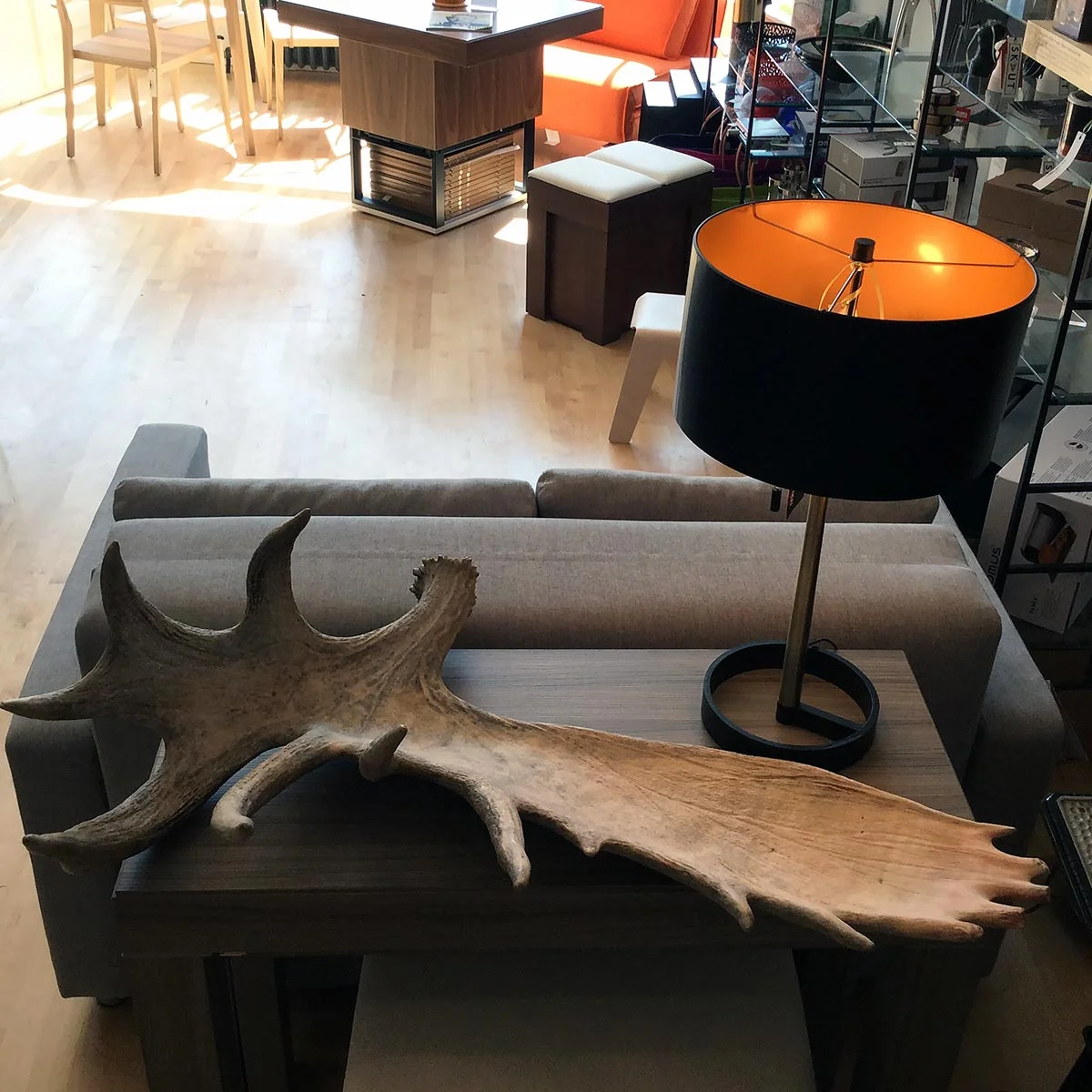 skaut_antler.jpg