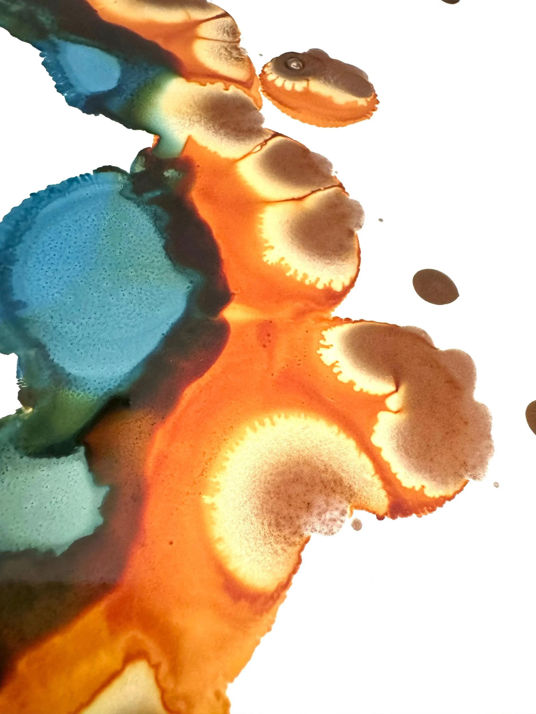F9ACA075-4DC1-4197-9325-D3C101B1C21C.jpeg