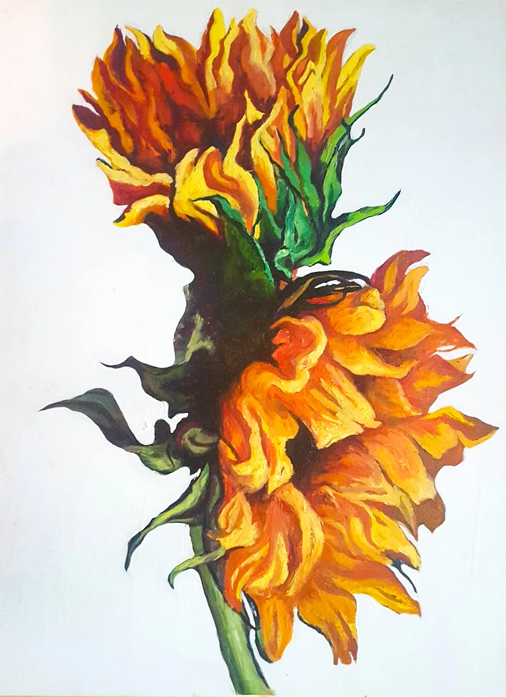 Sunflower_b.jpg