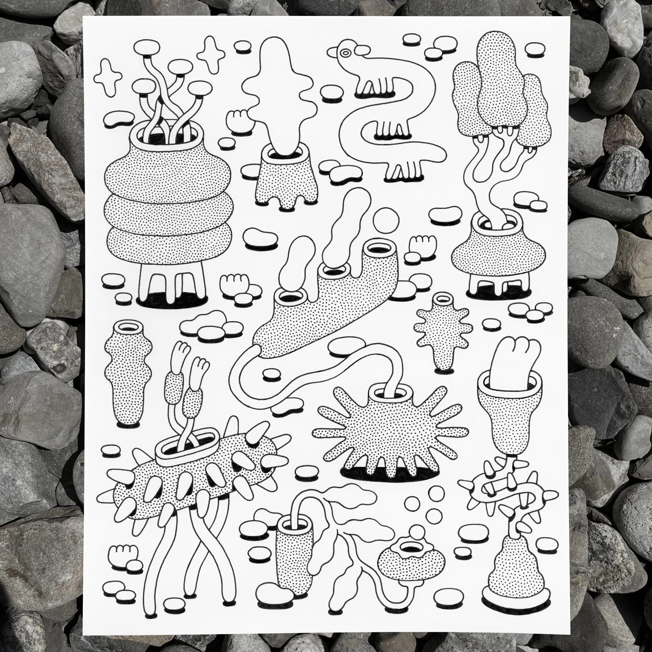 formstudy_junepic.jpg