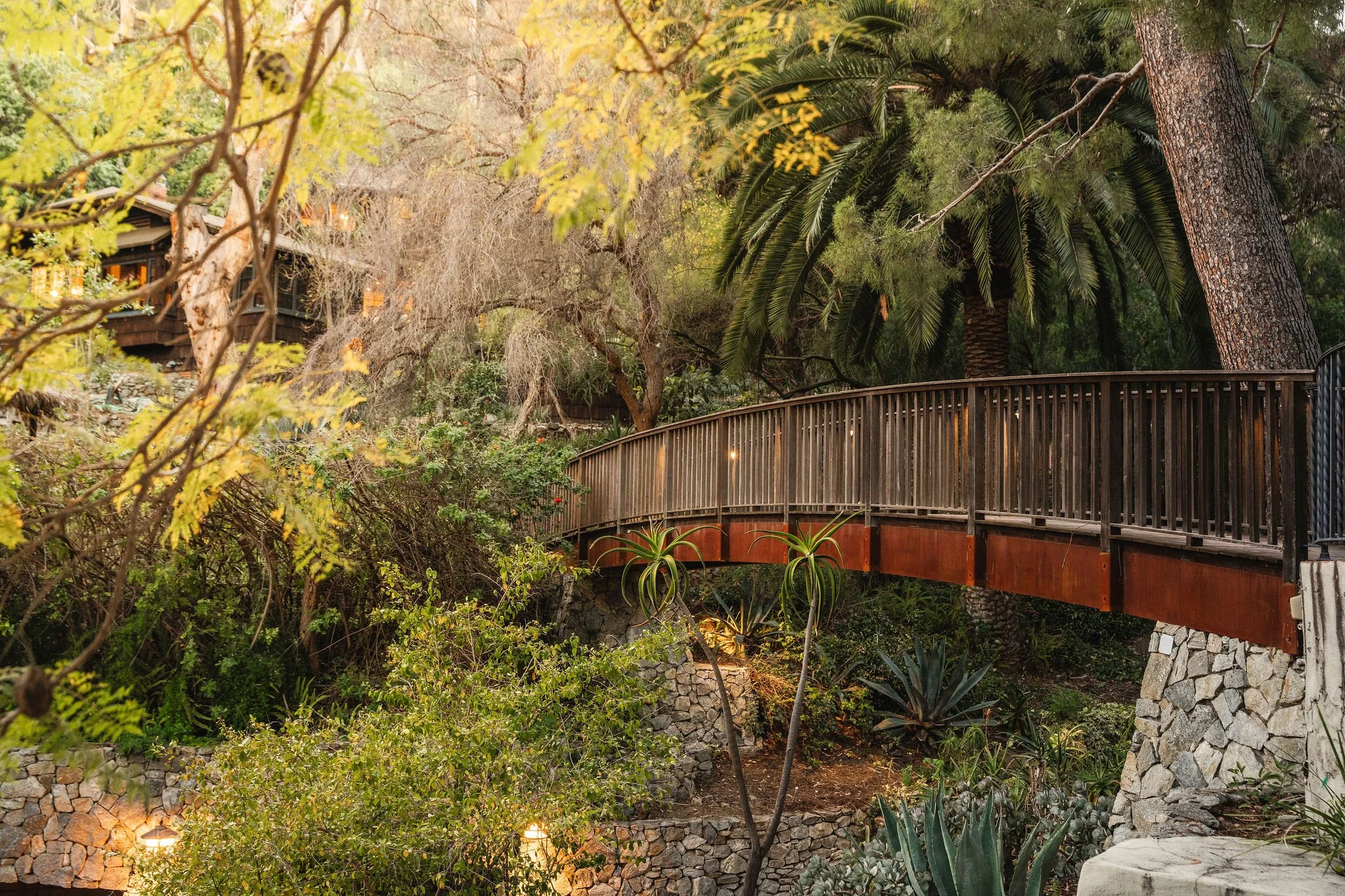GAV04859.jpg