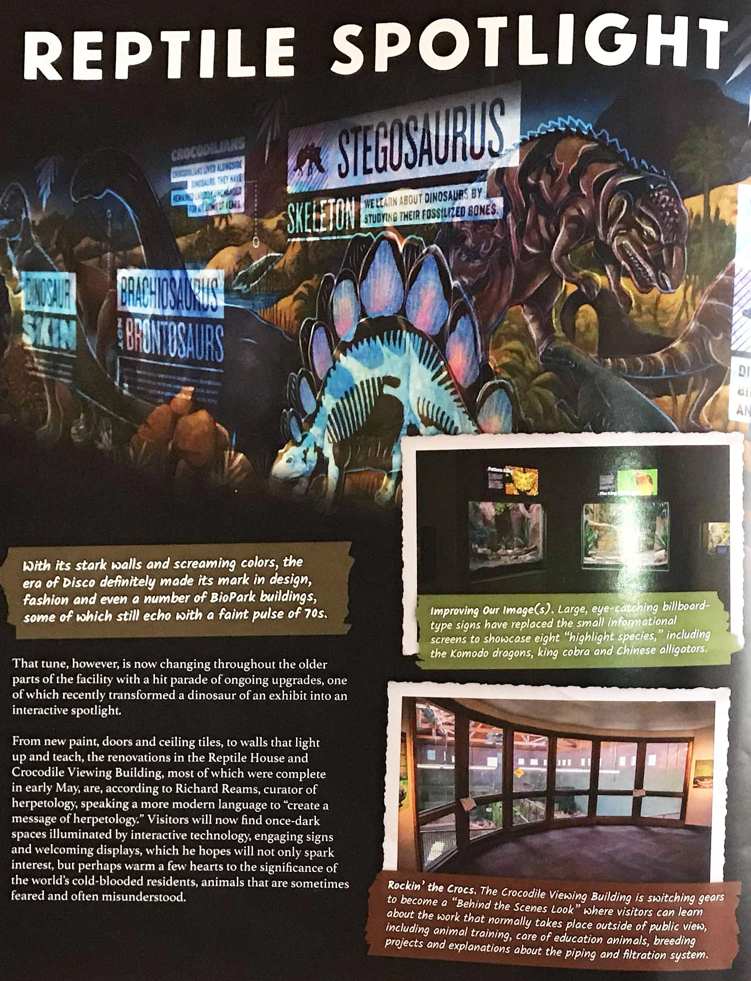 The Dinosaur Mural Gets the Spotlight