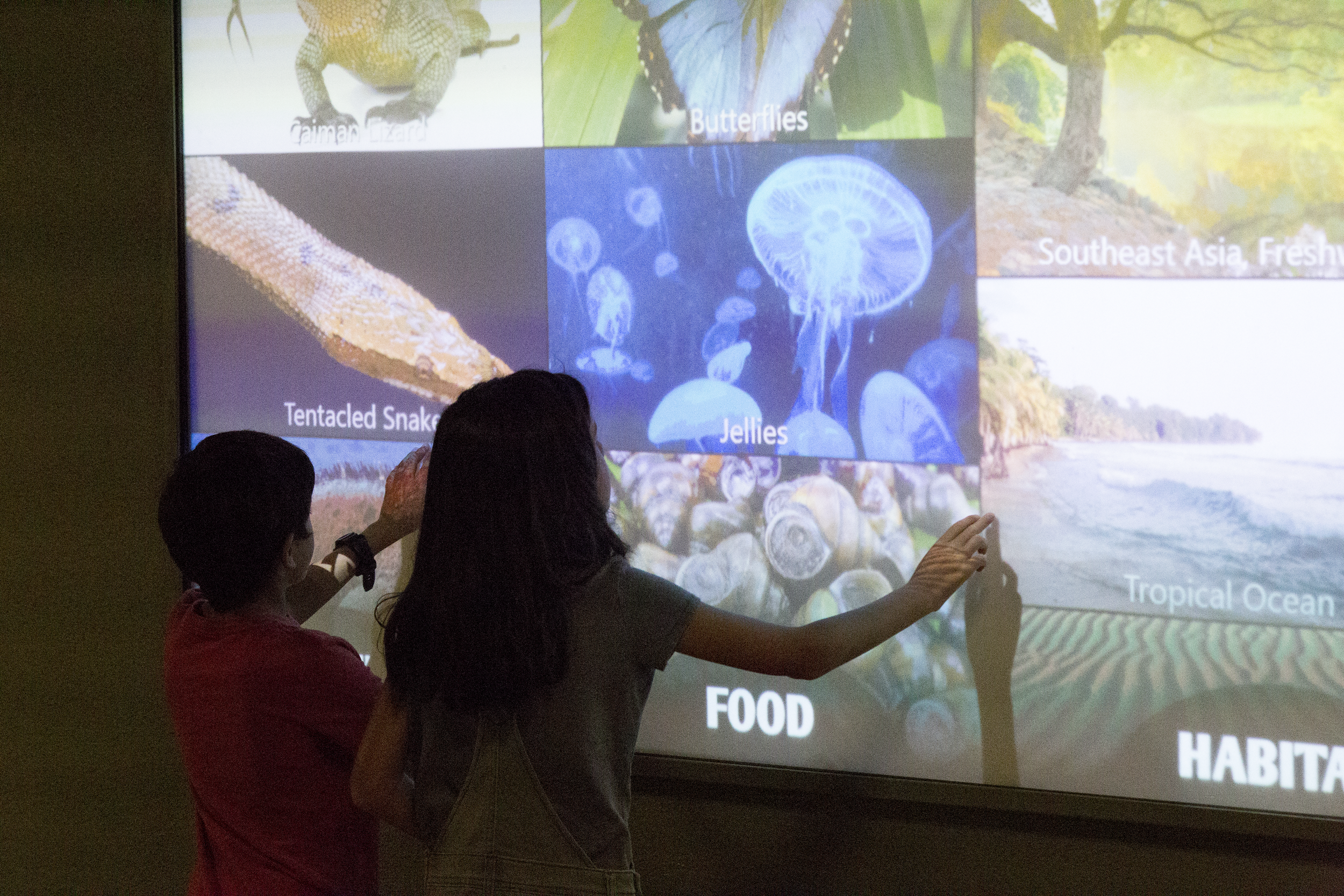 Learn Reptile, Habitat & Diet