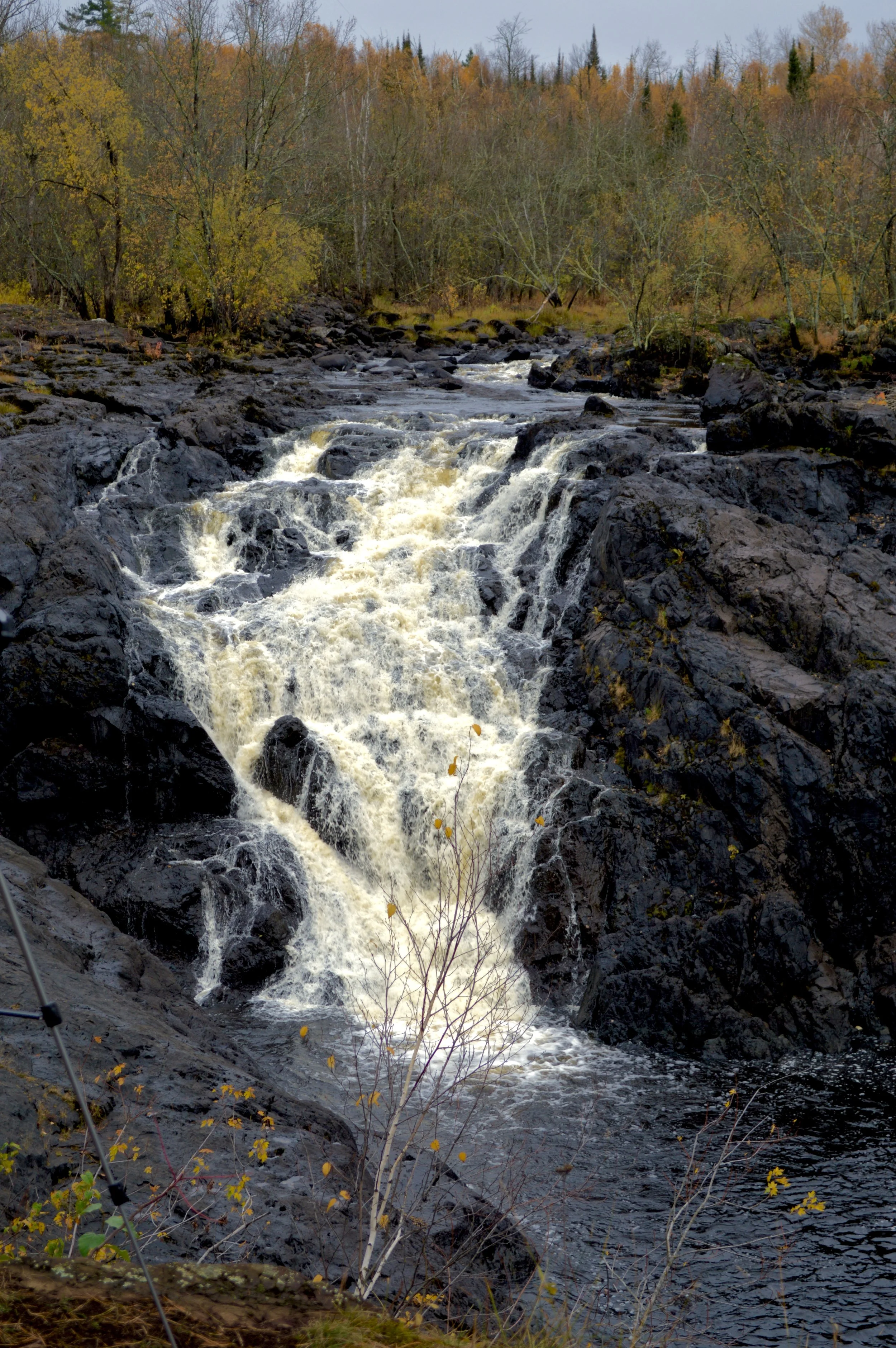DSC_0072.jpg