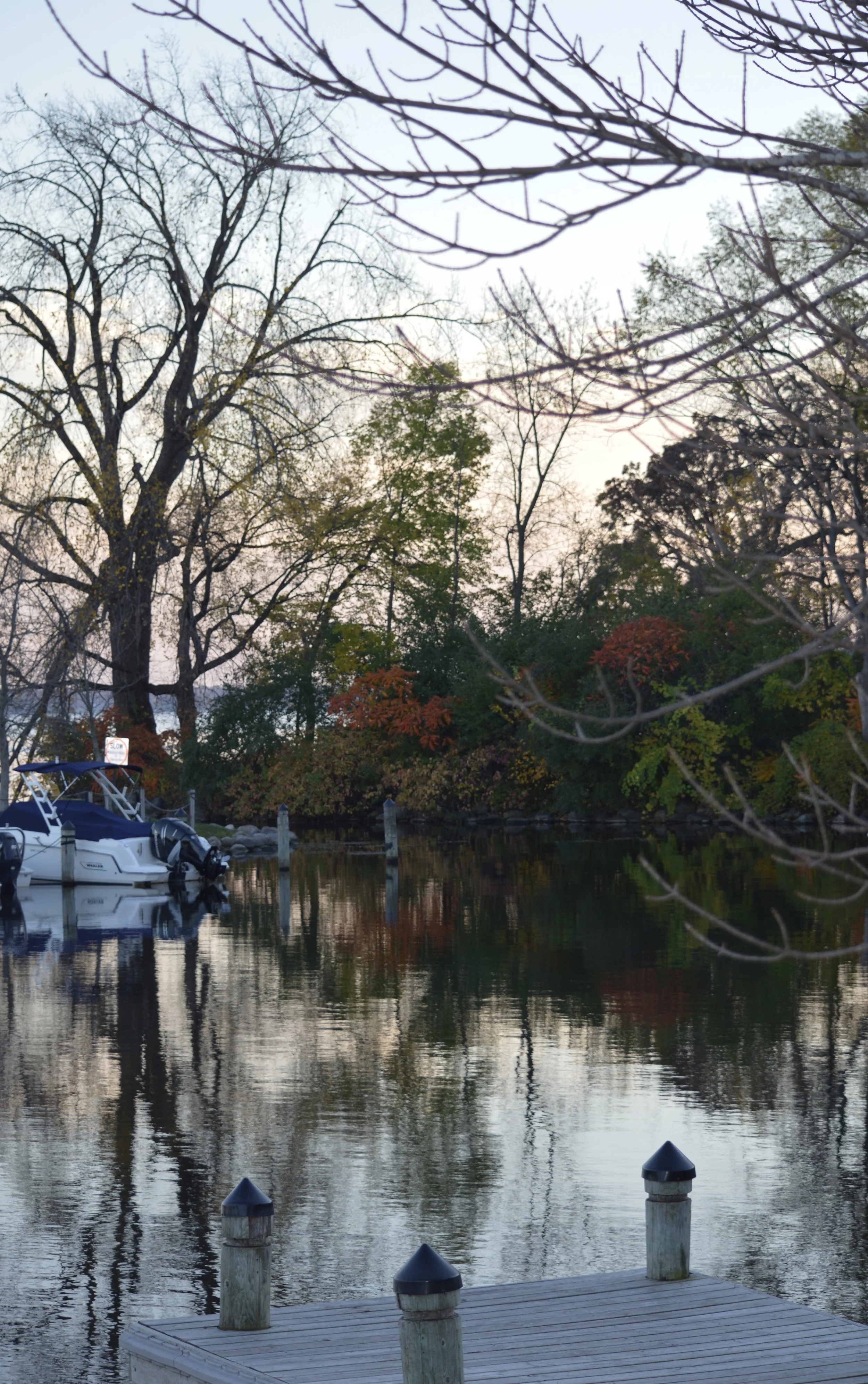 DSC_0129.jpg