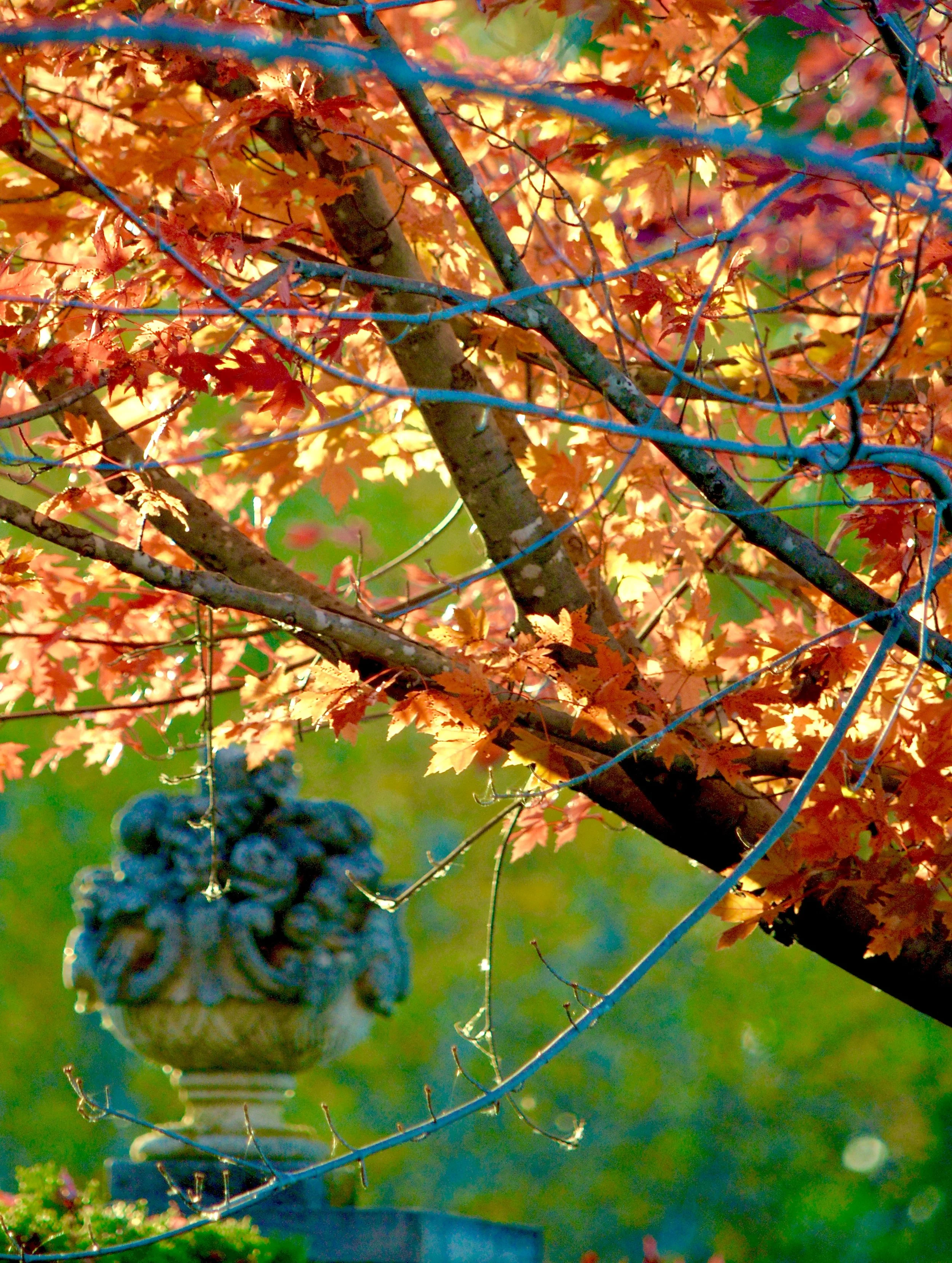 DSC_0106.jpg