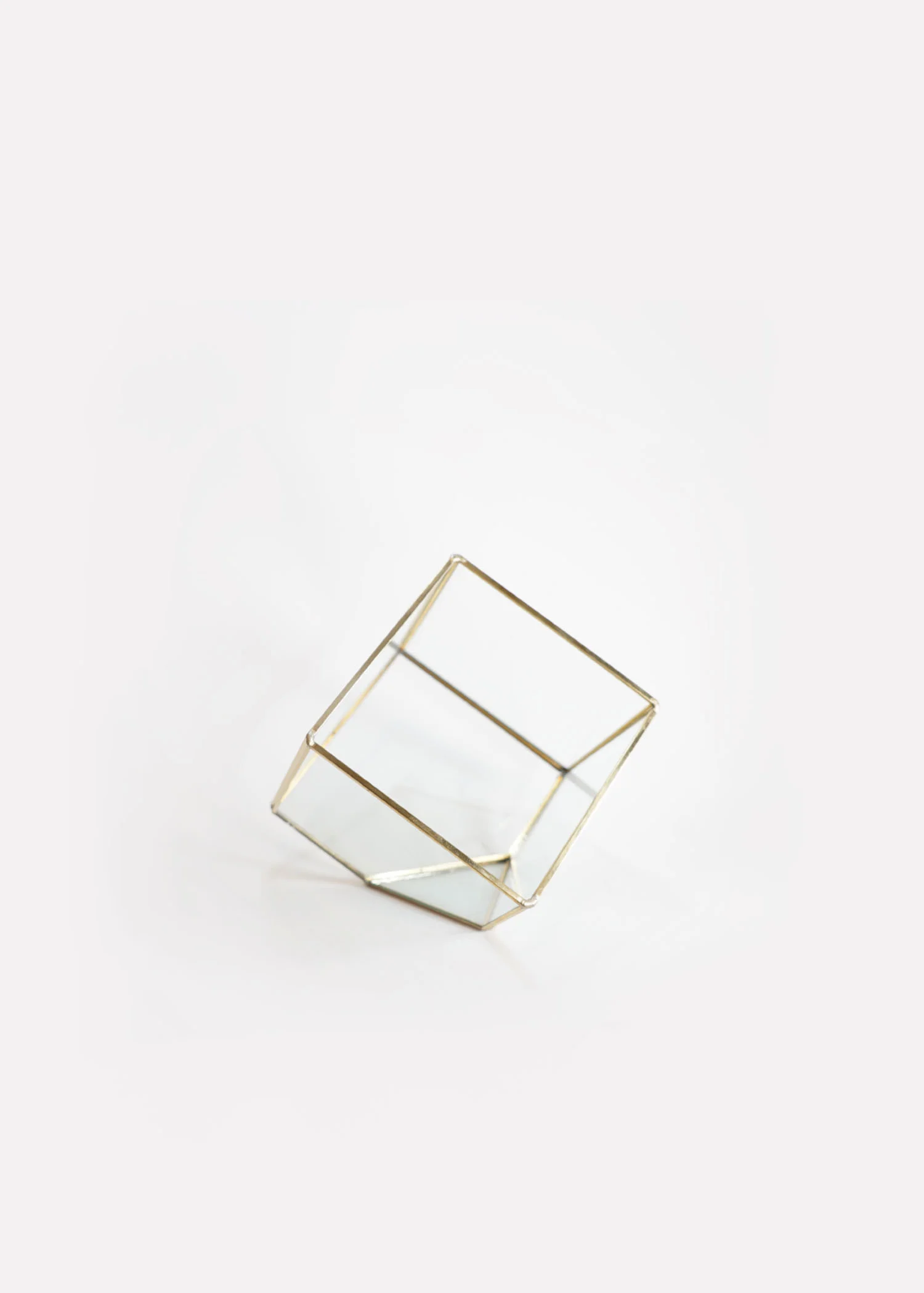 Arium Studio Terrarium Gold Square.jpg