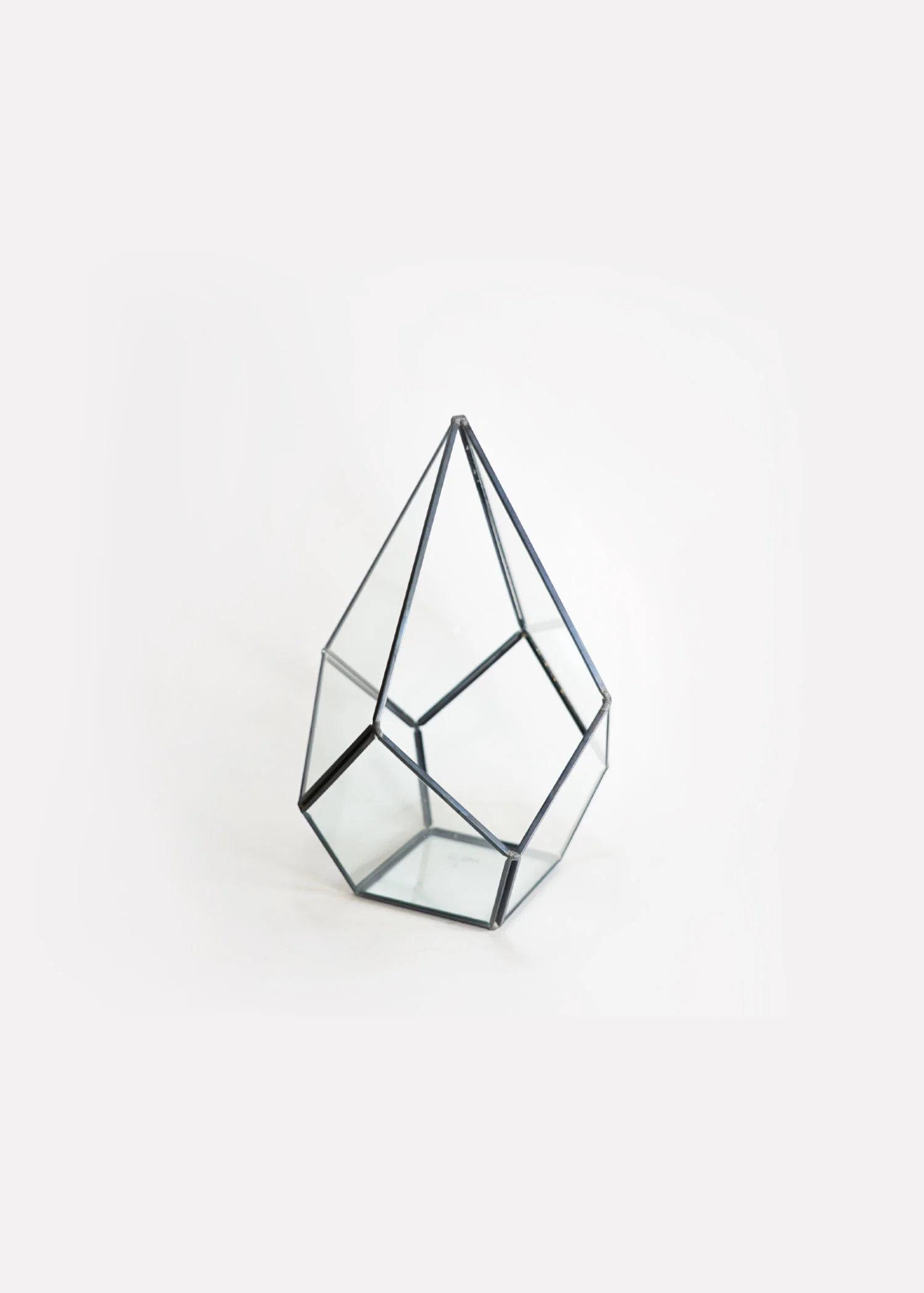 Arium Studio Terrarium Charcoal Diamond.jpg