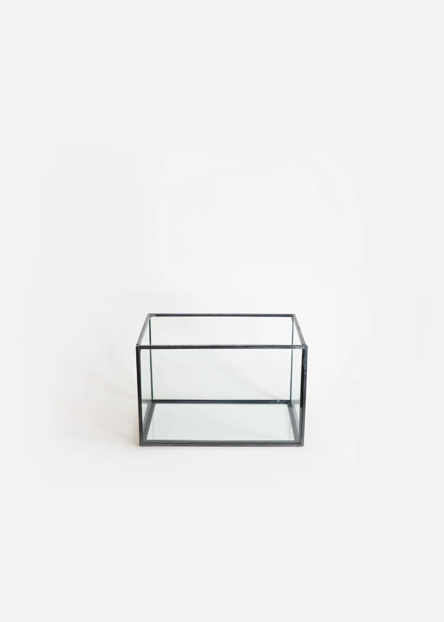 Arium Studio Terrarium Charcoal Rectangle.jpg