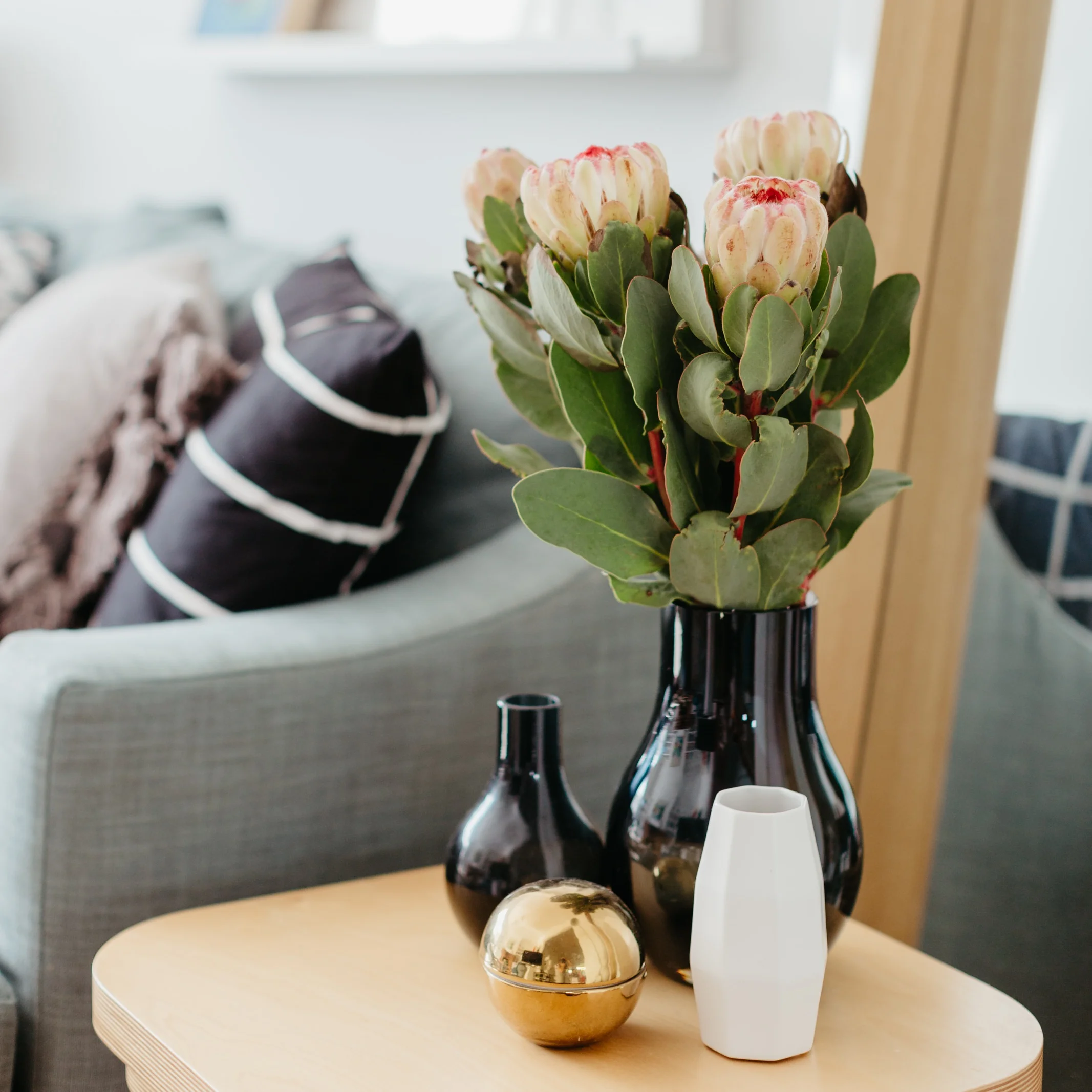 KELLY | BALGOWLAH