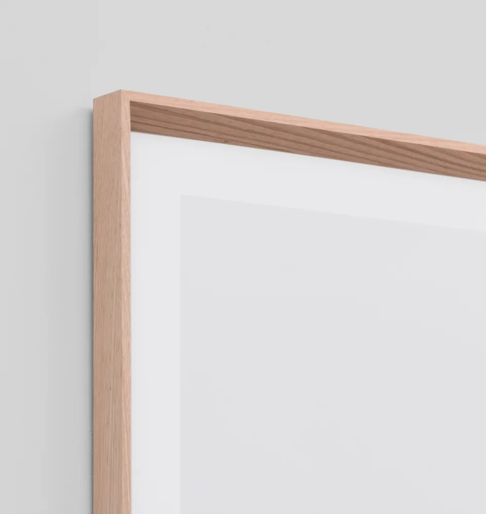 misty_morning_epxmismor_corner_web.jpg