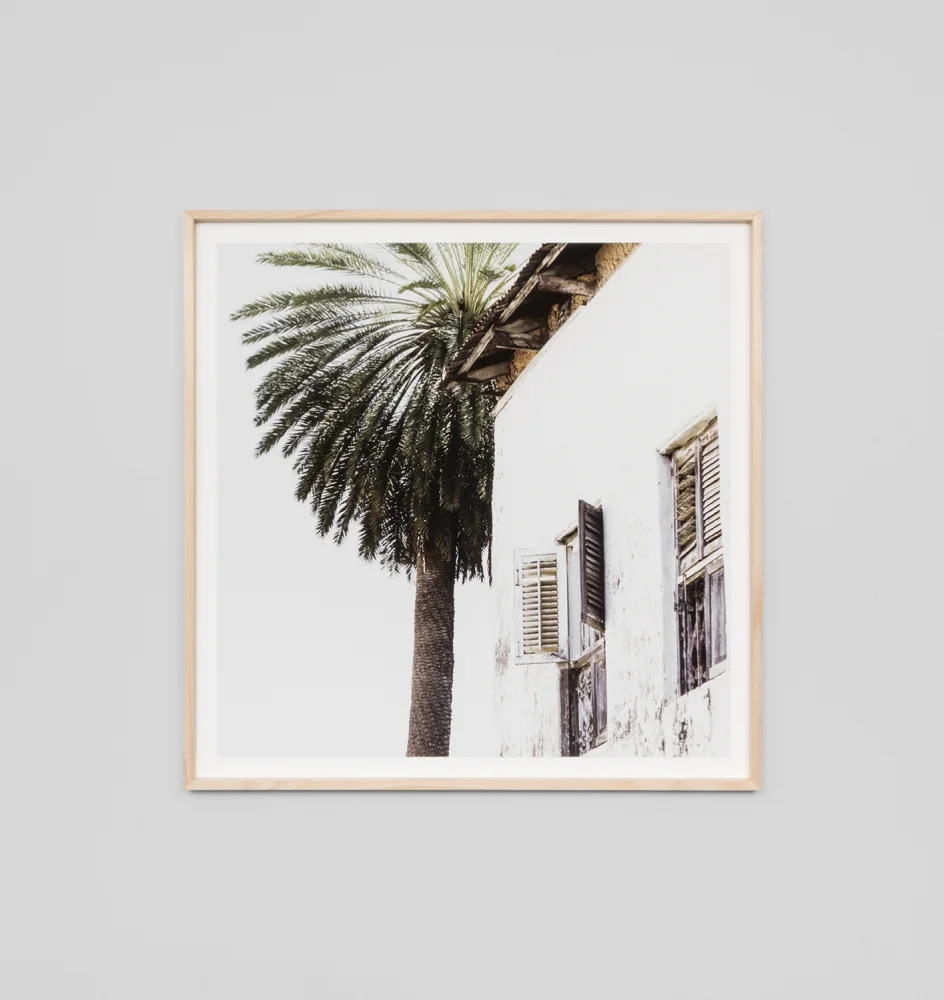 palm_window_square_eppalsqu_web.jpg