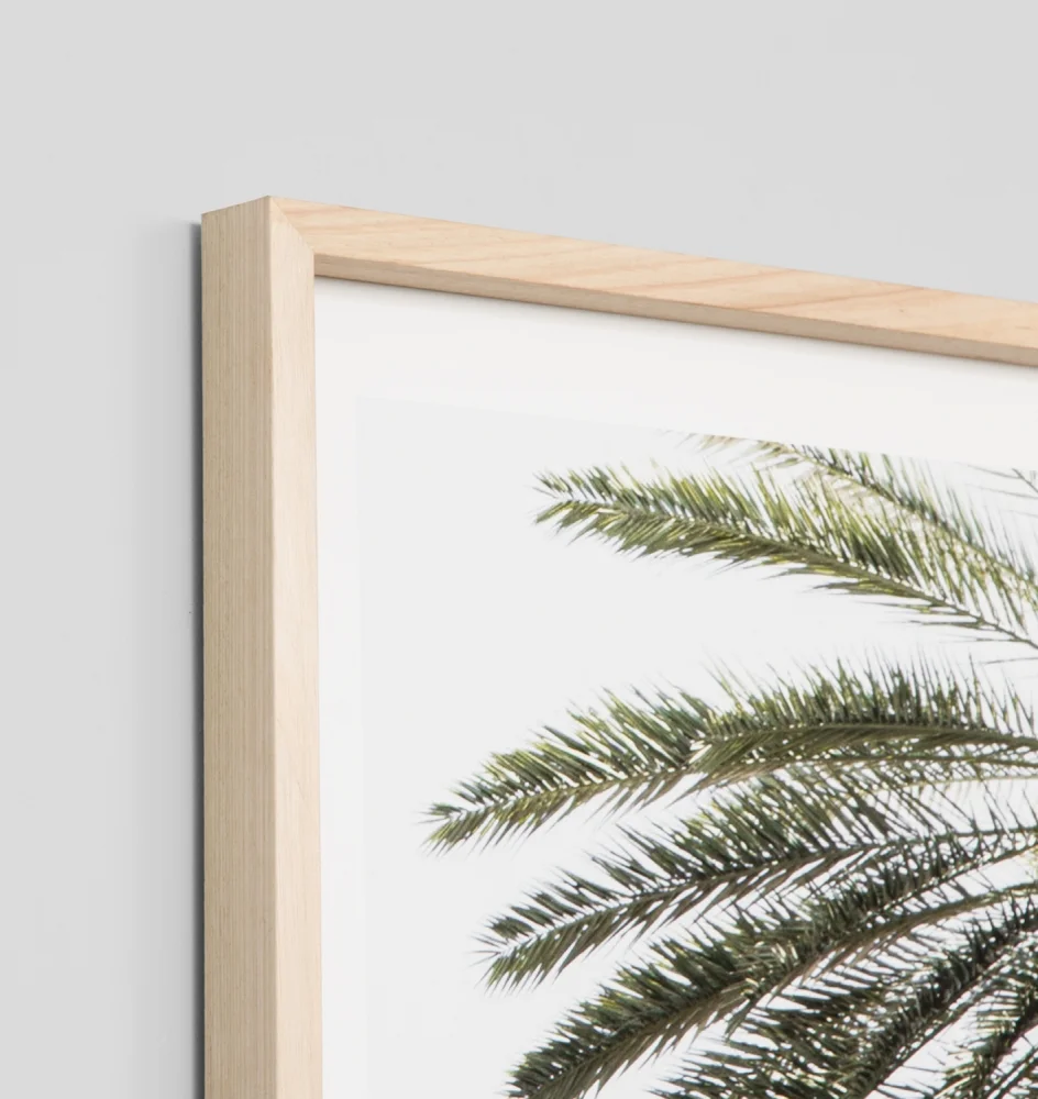 palm_window_square_eppalsqu_corner_web.jpg