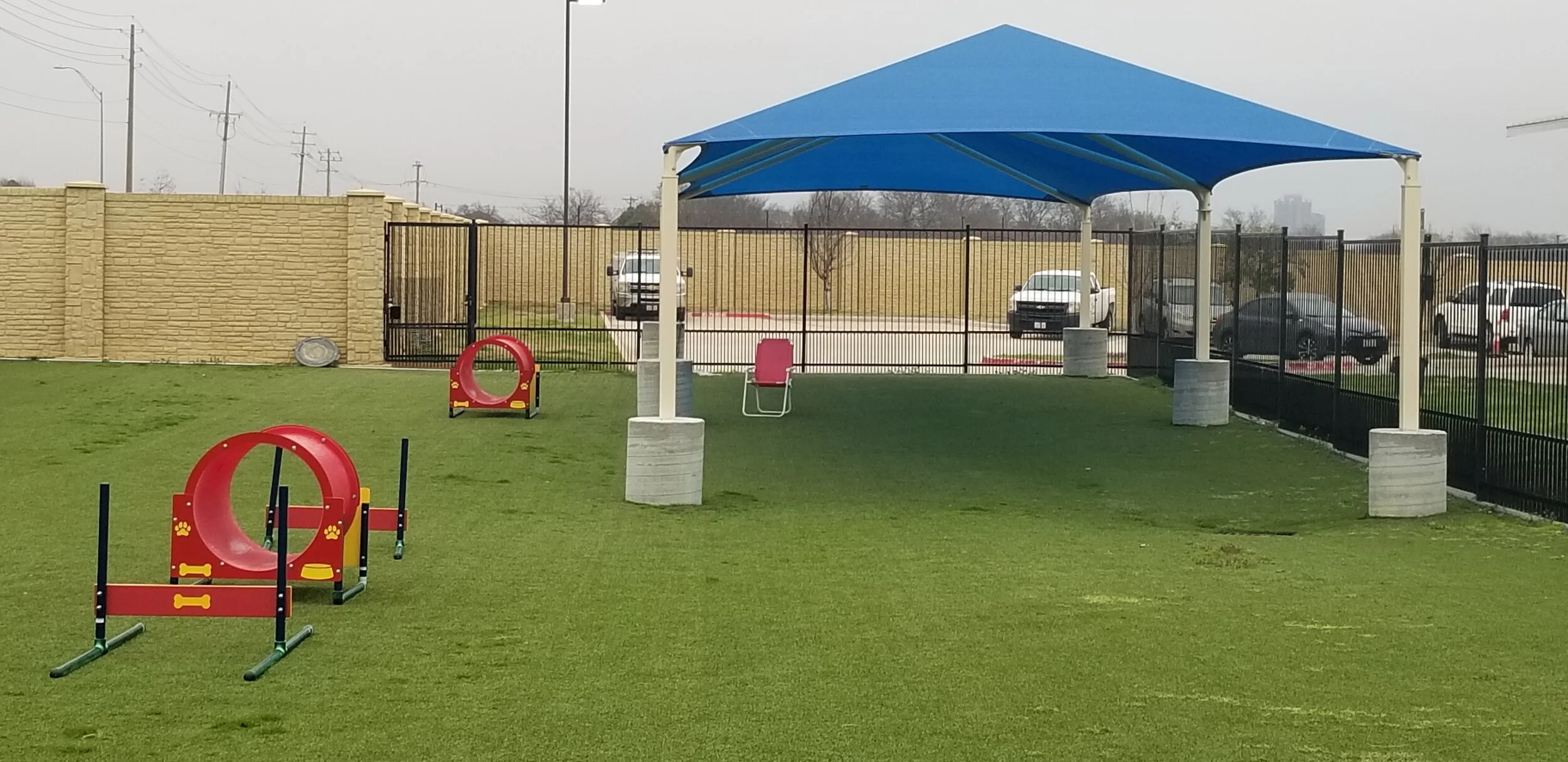 Programs — Denton Animal Support Foundation