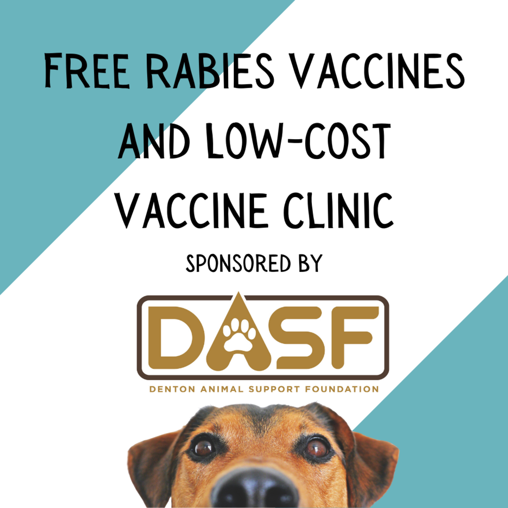 Free Rabies And Low Cost Vaccine Clinic Sponsored By Dasf Denton Animal Support Foundation