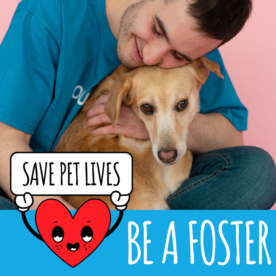 Be A Foster — Denton Animal Support Foundation