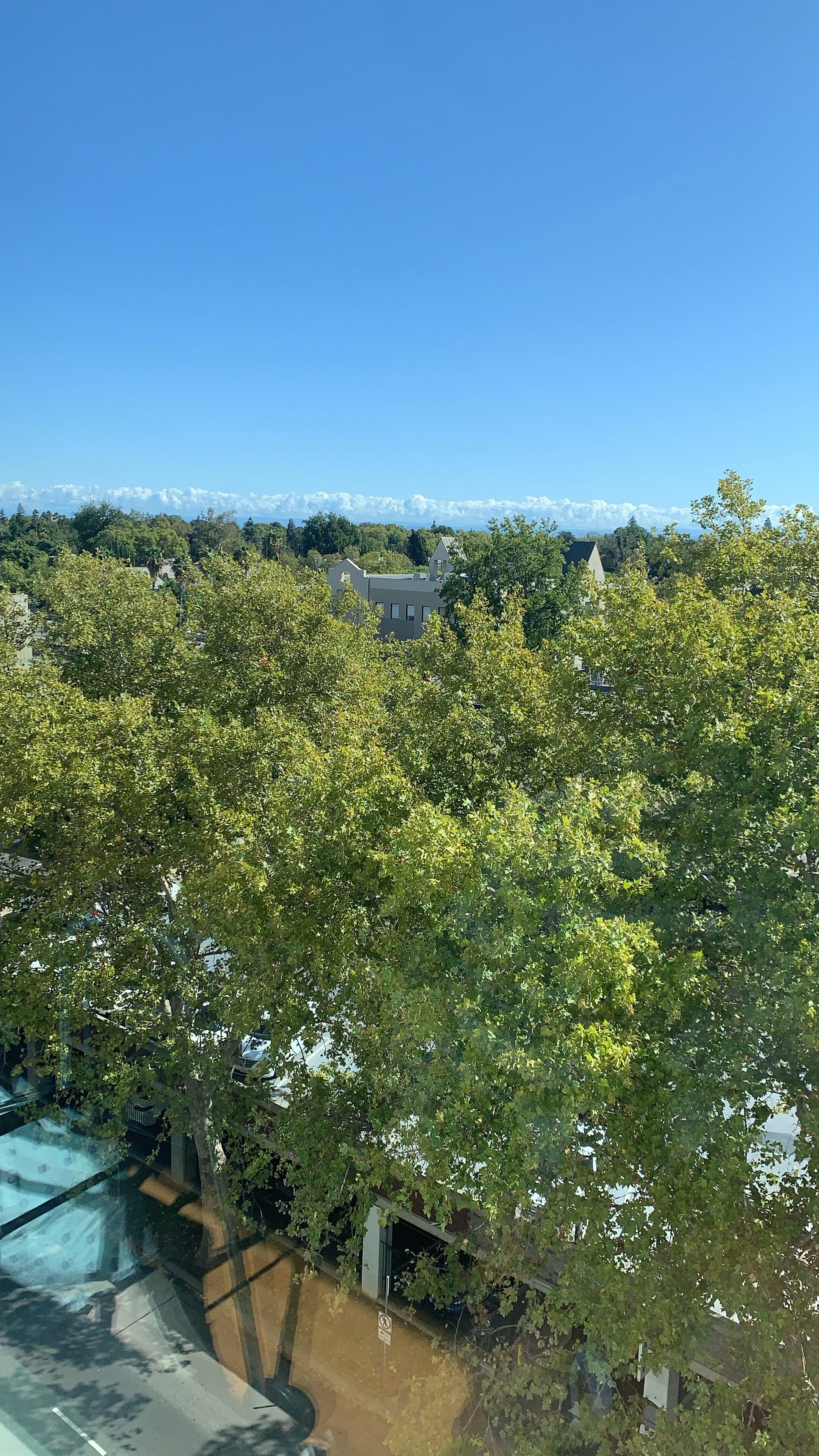 Remember The Past Days..