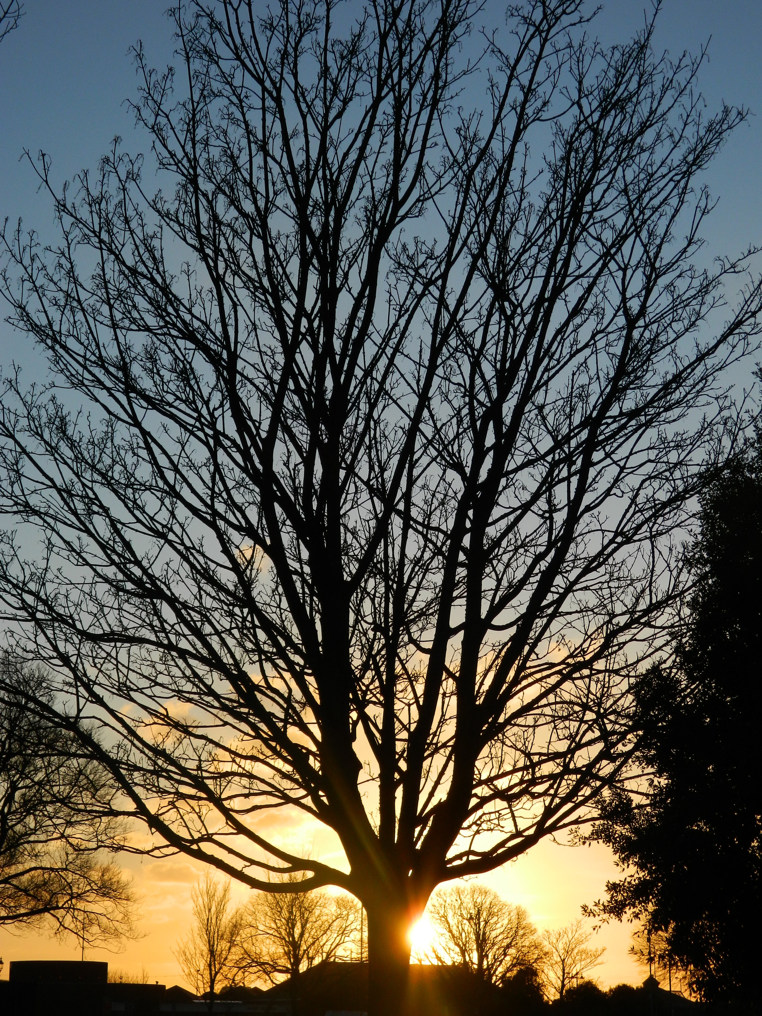 DSCN7114.JPG