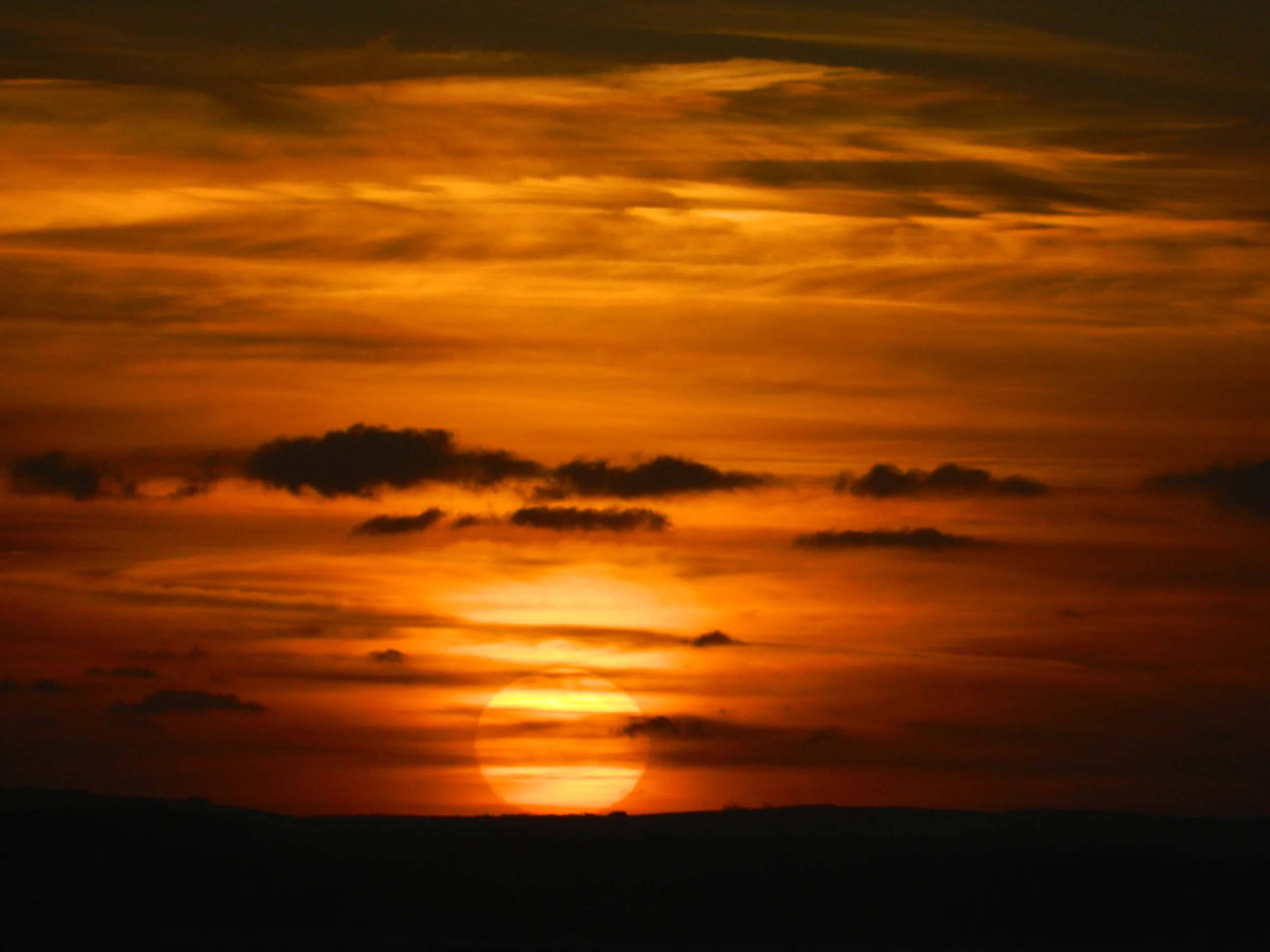 DSCN7172.JPG