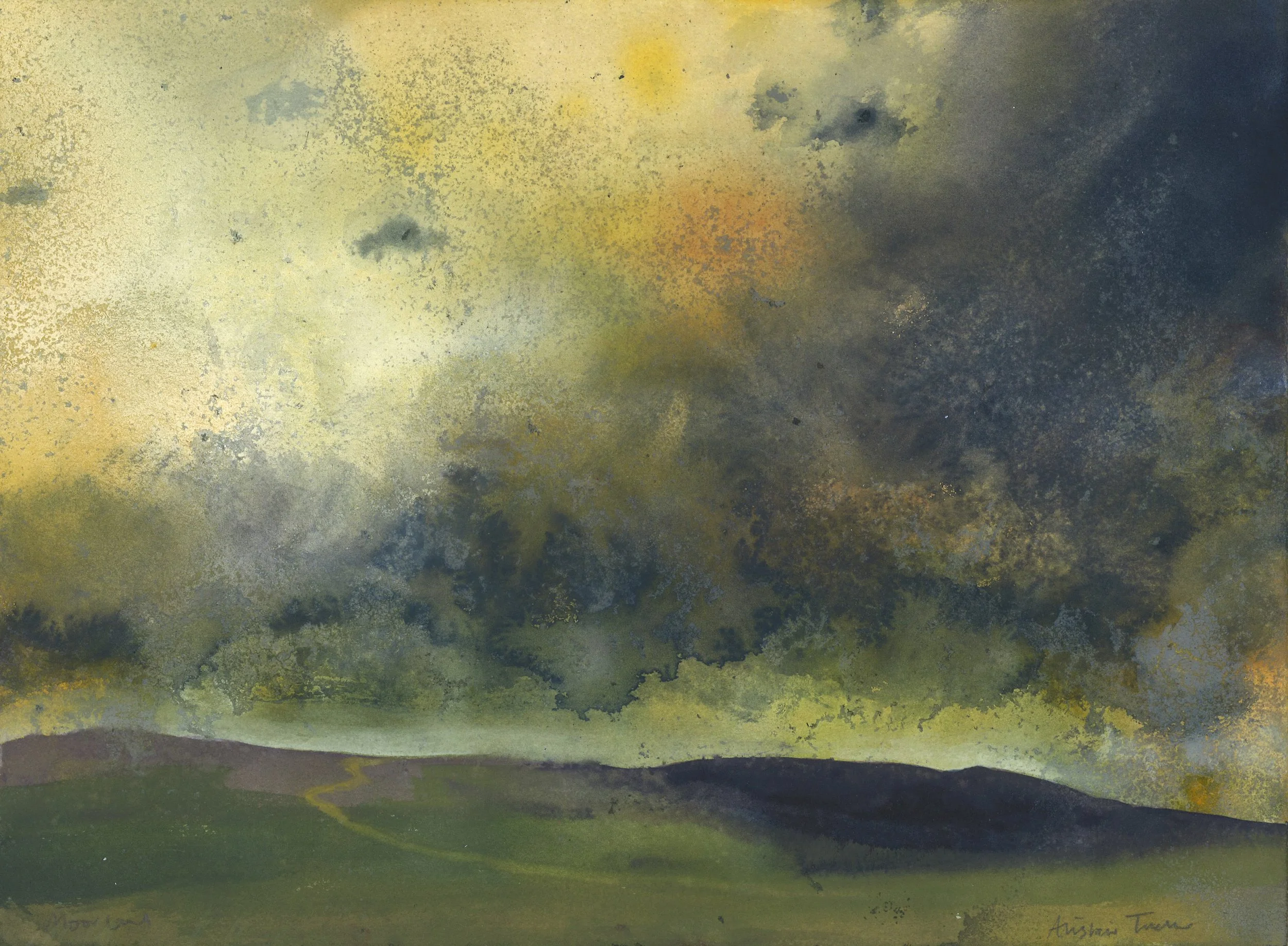 Moorland Wilderness LR.jpeg