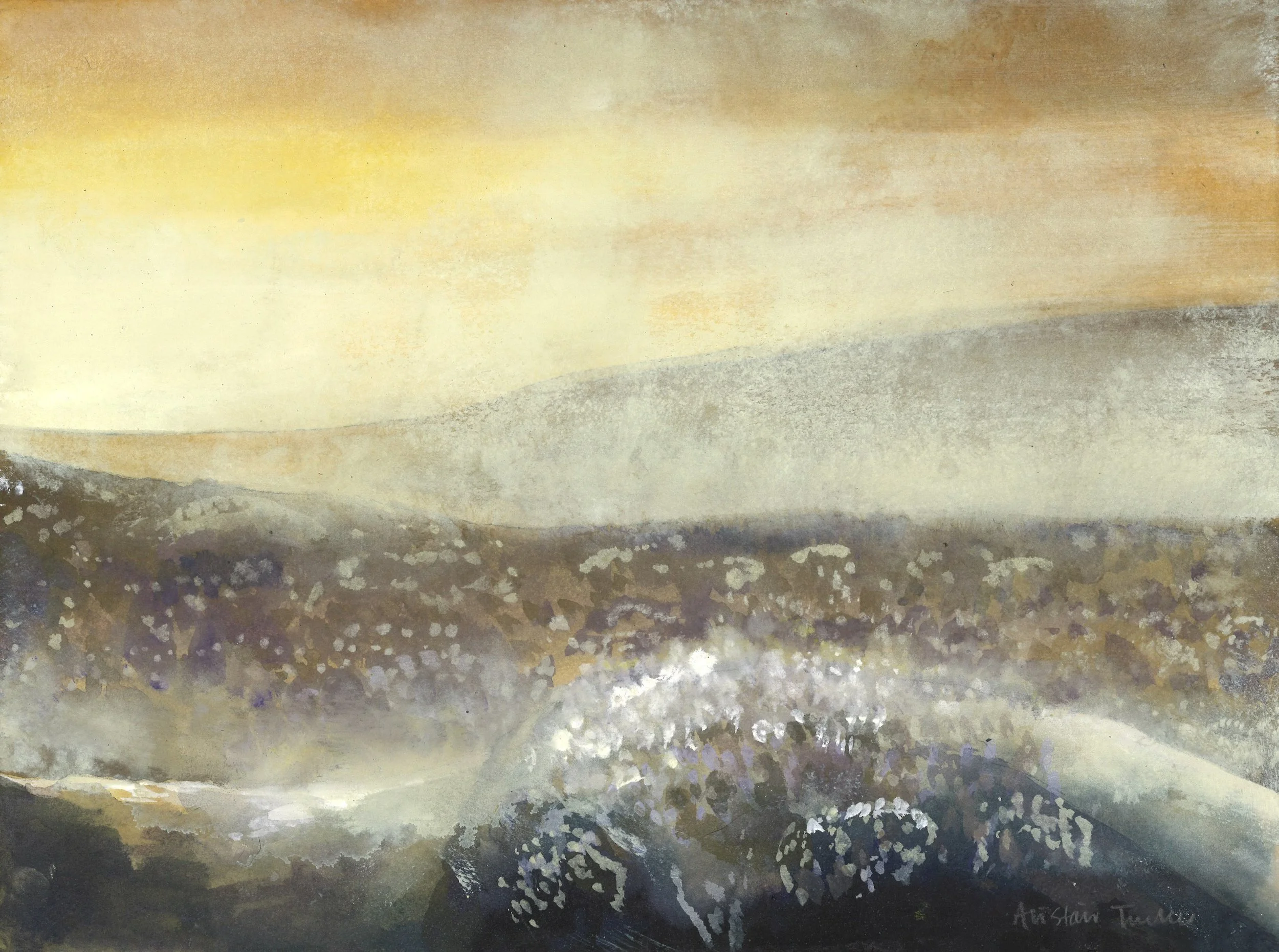 Winter Morning LR.jpeg