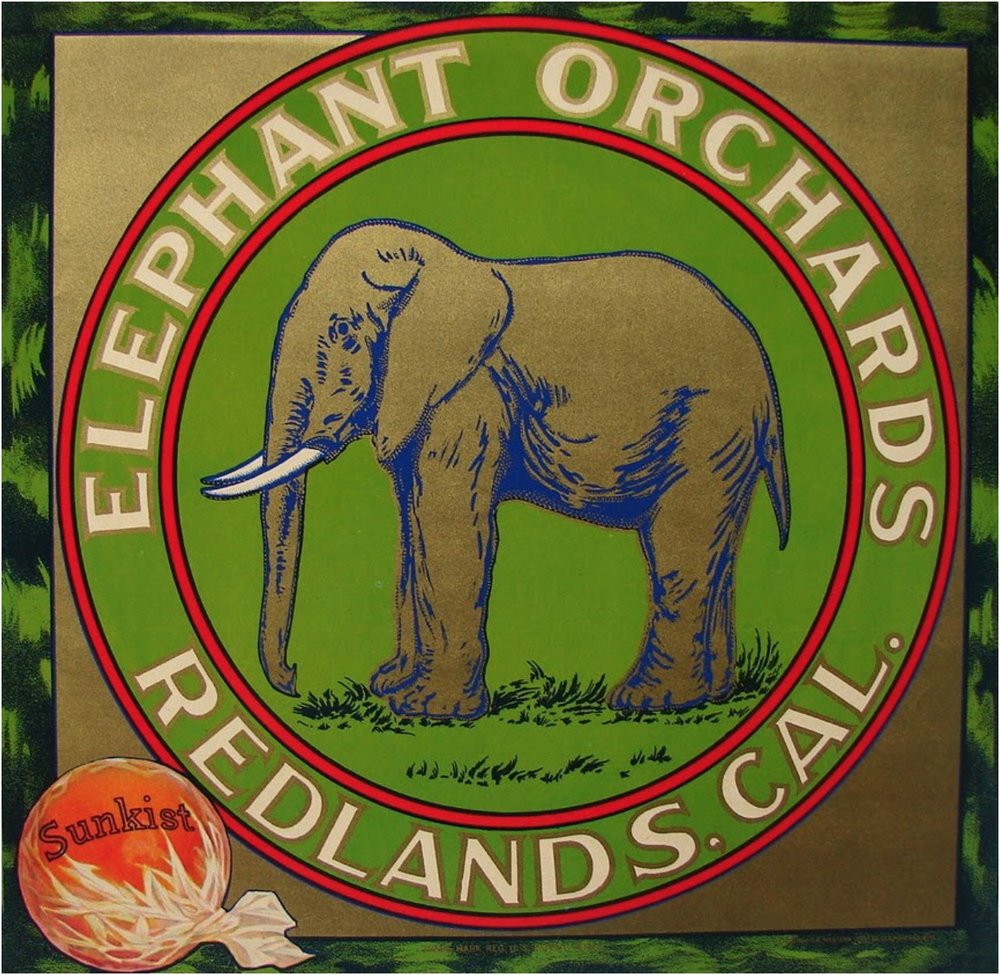 ElephantOrchardLabel.jpg