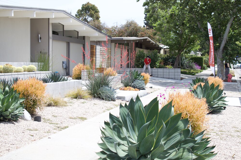 Xeriscaping at one of the tour homes