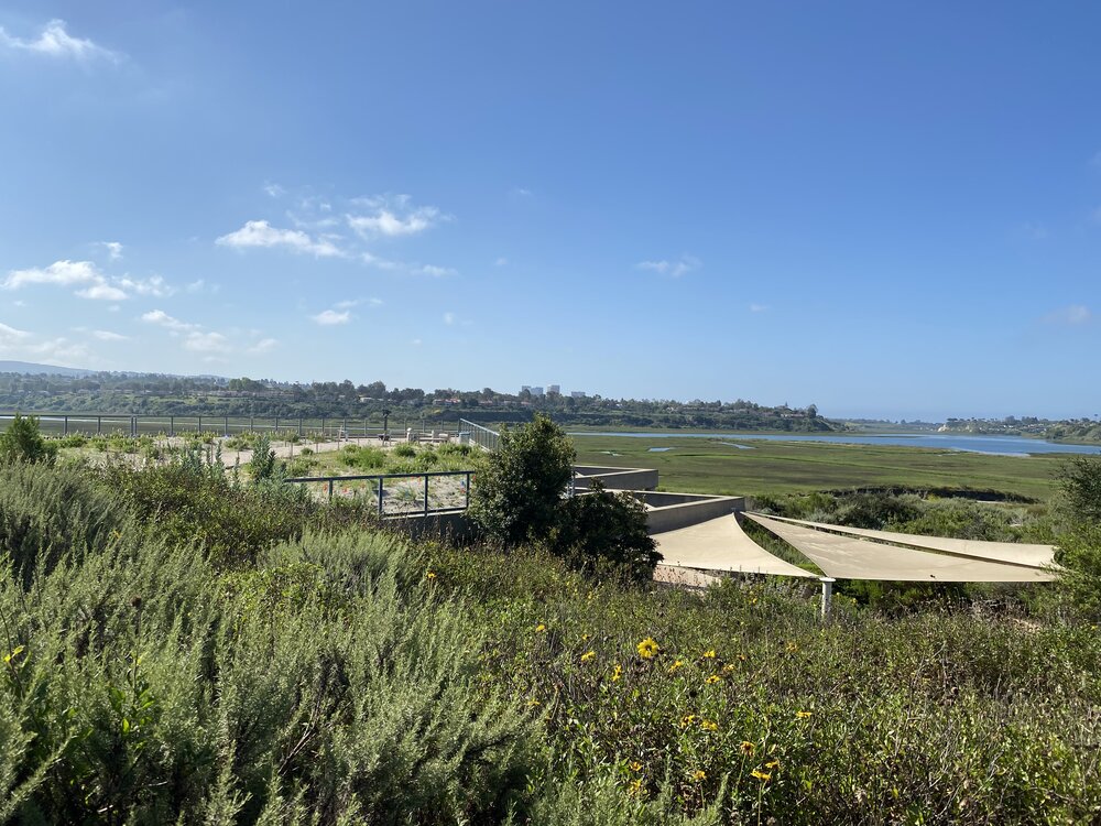 Fig. 13 - Peter and Mary Muth Interpretive Center, Newport Beach, 2000, View of green roof and Back Bay (Photo by Jason Foo)