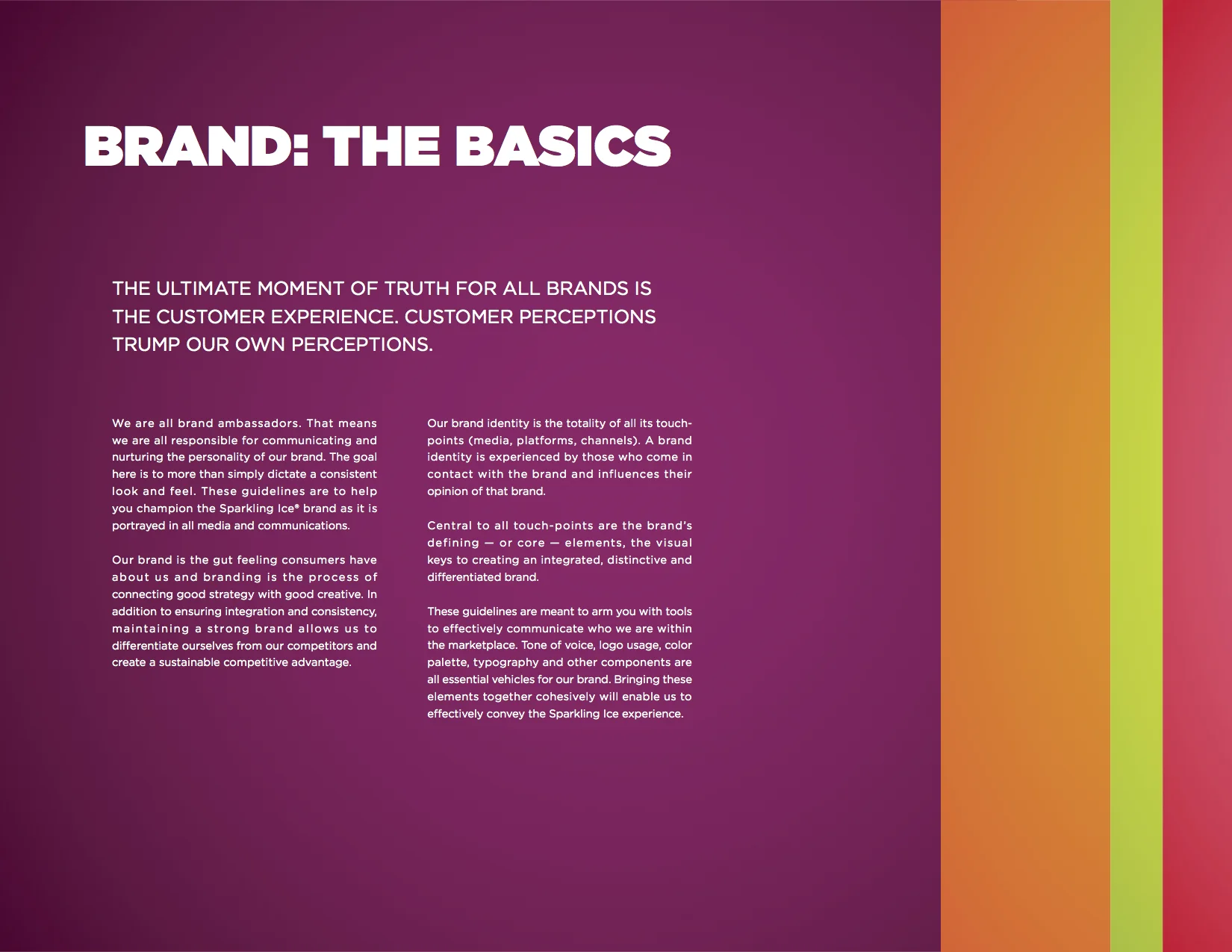 SI_brand book_UPDATED 3_16 (3).jpg