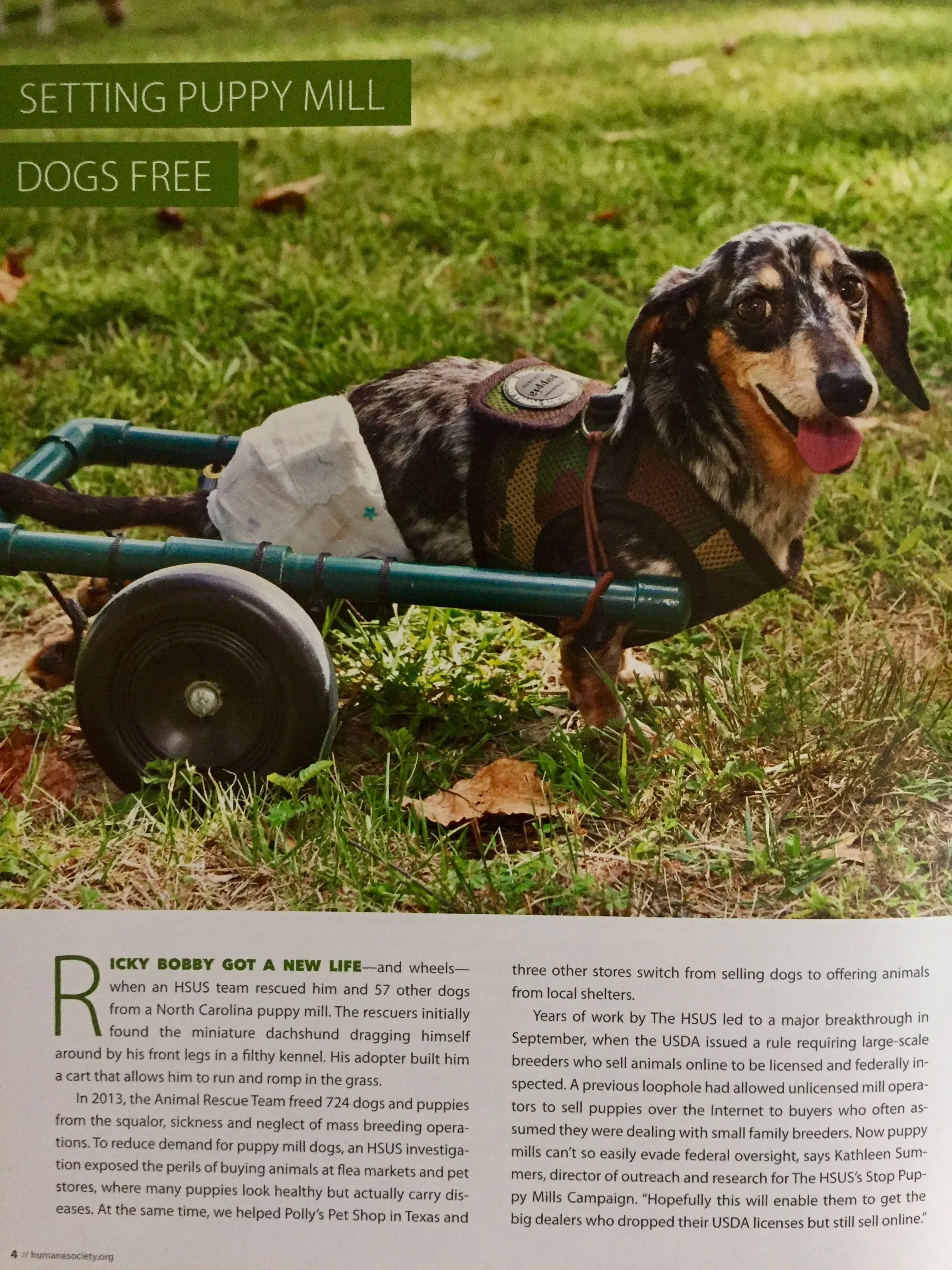 FullSizeRender (7).jpg