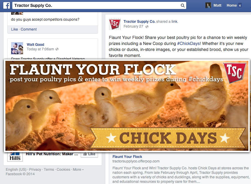 chick days facebook.png