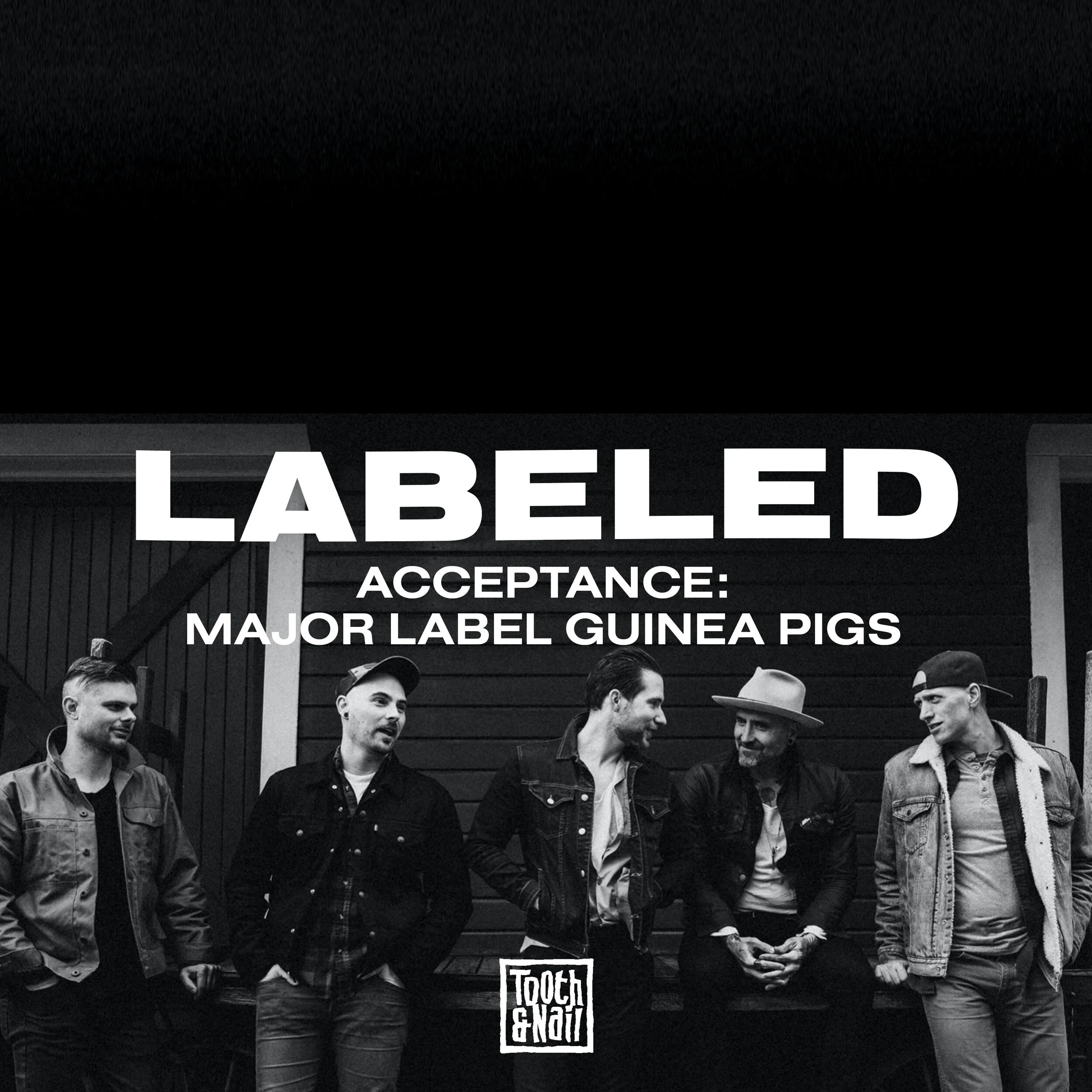 Acceptance: Major Label Guinea Pigs