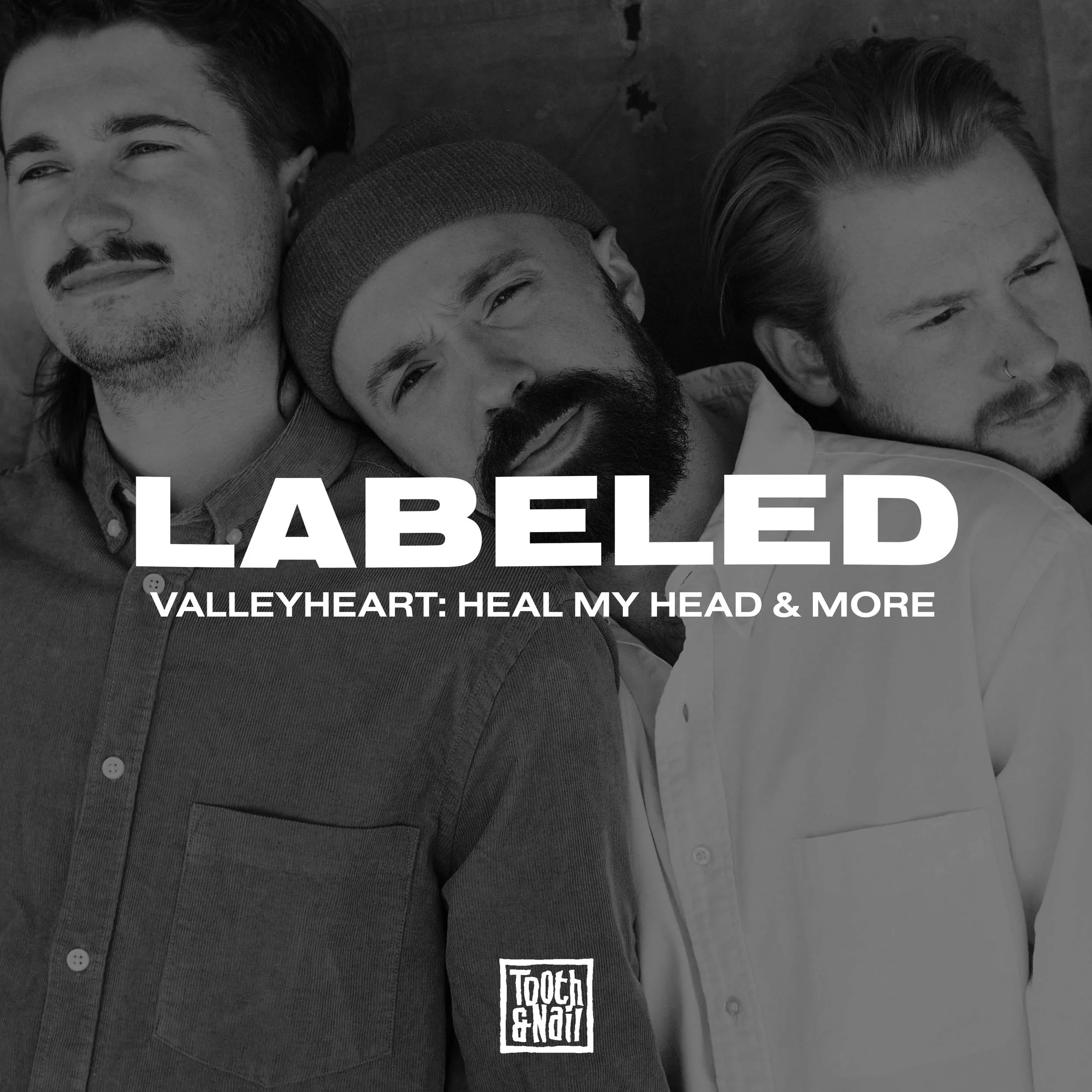 Valleyheart - Heal My head &amp; More