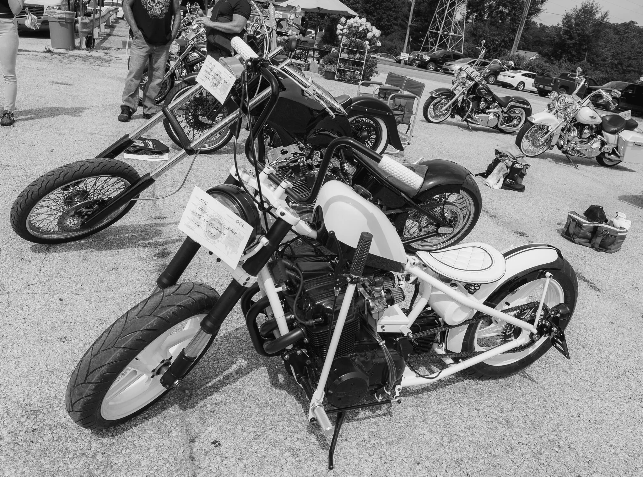 DSC_1782.jpg